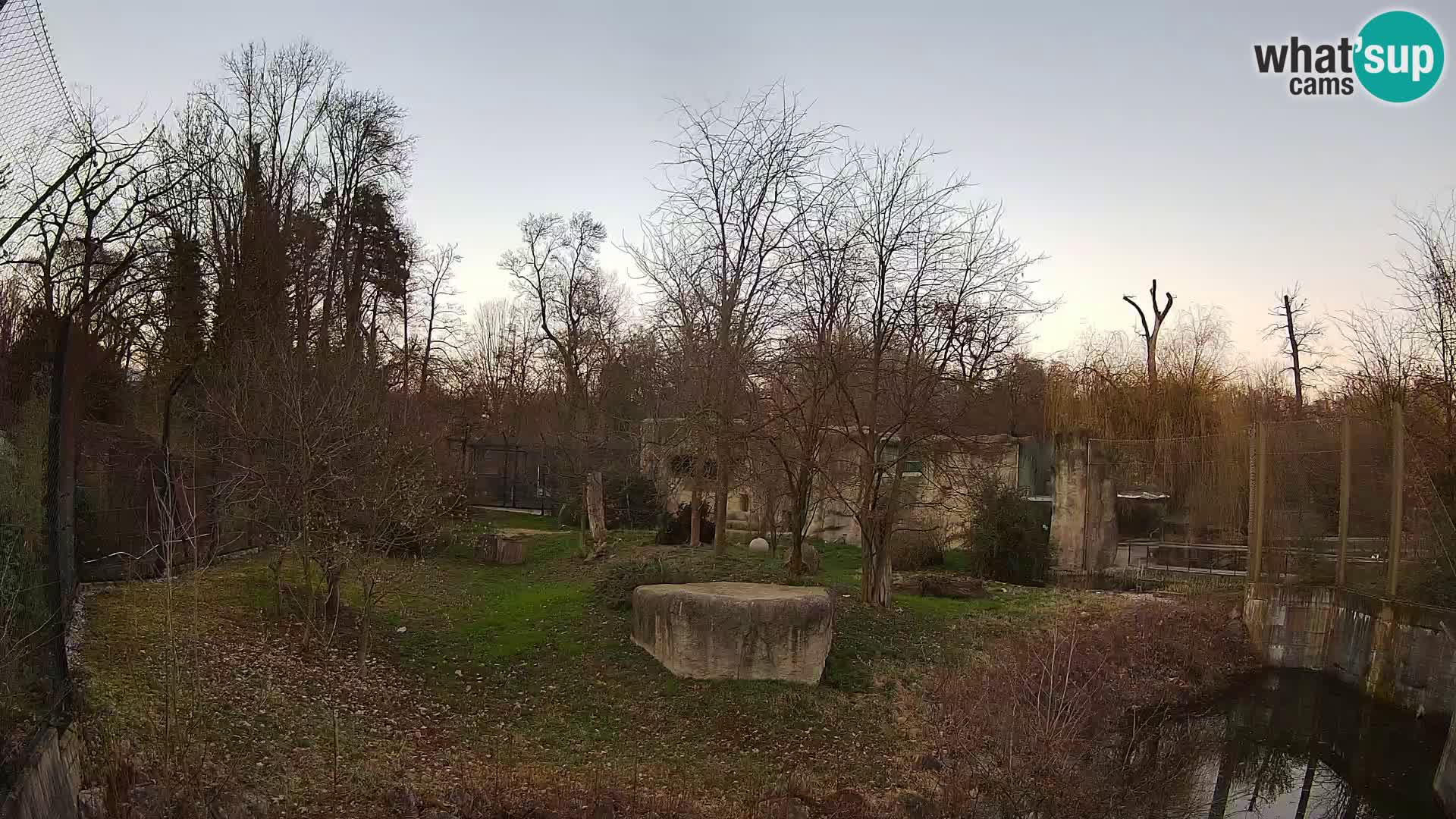 Zoo Zagreb – Leoni