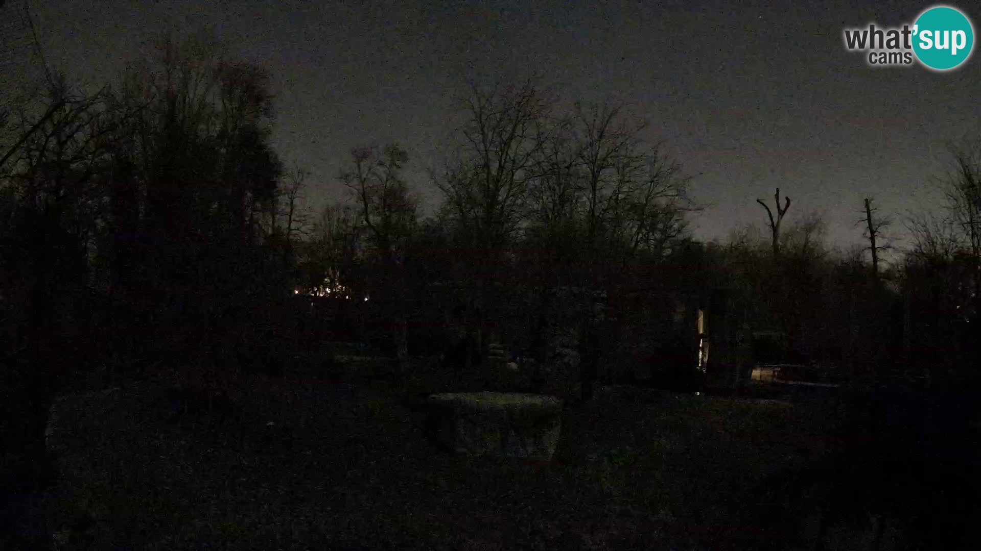 Spletna kamera Zoo Zagreb – Levi