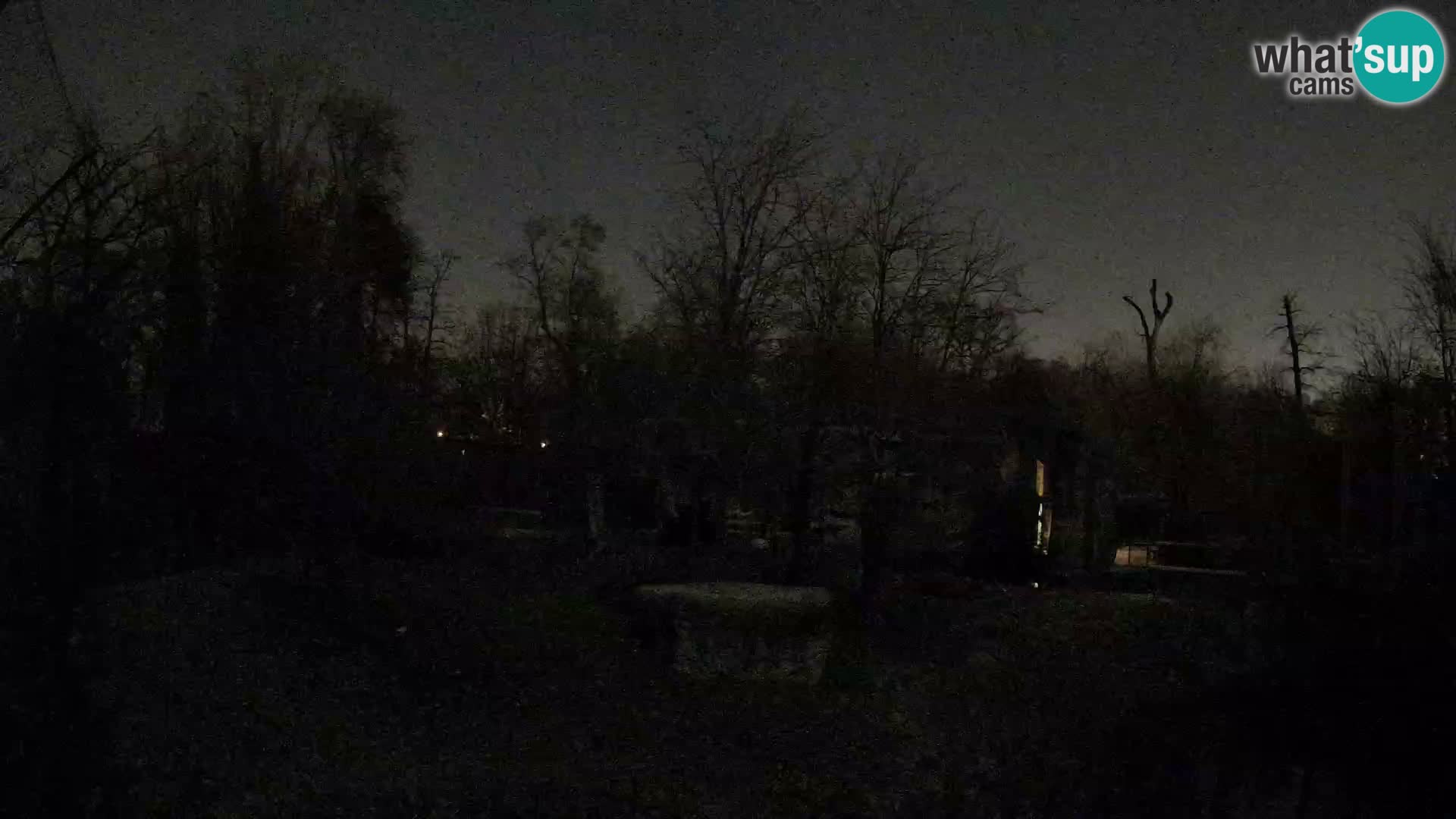 Zoo Zagreb – Leones