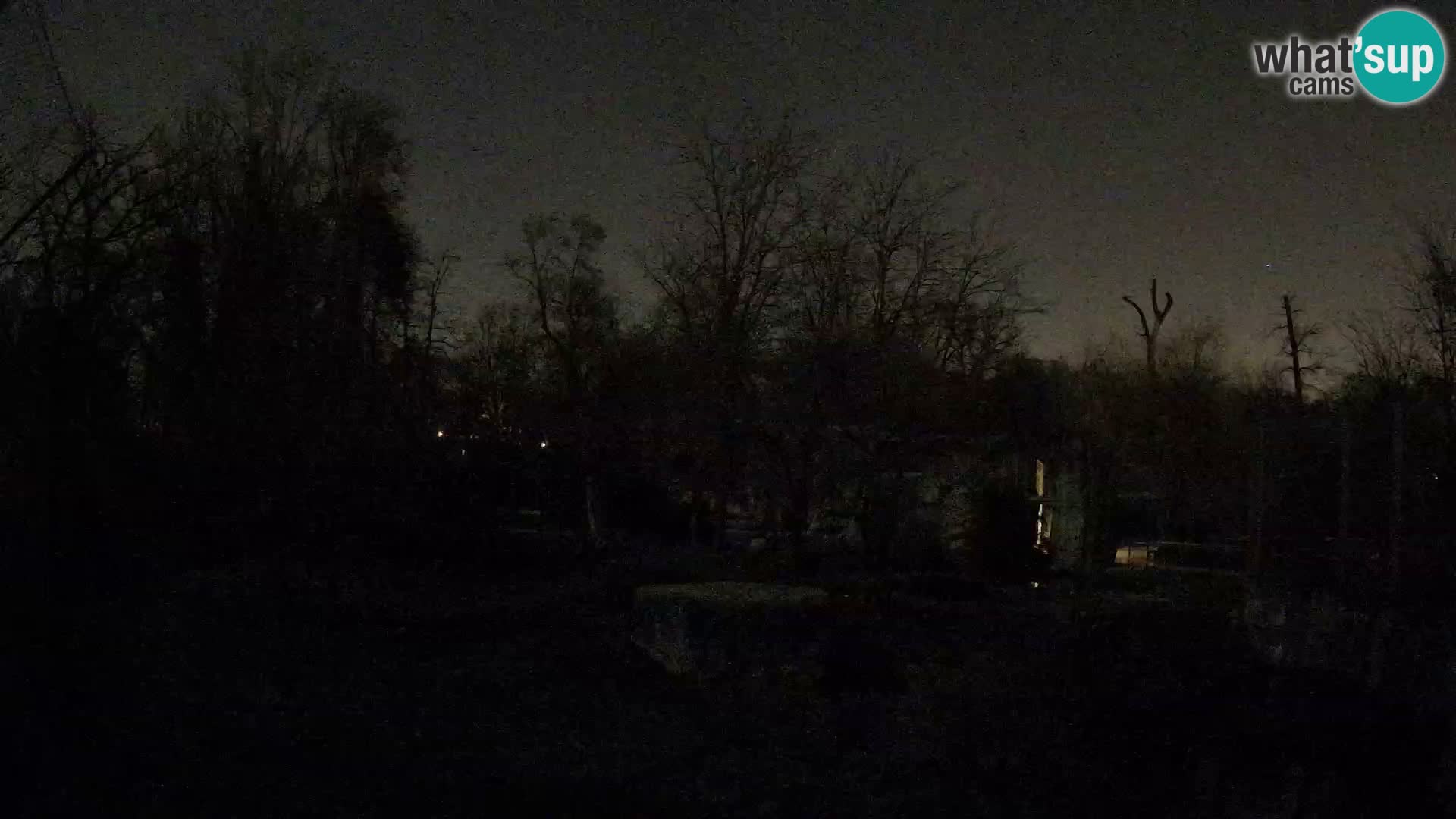 Spletna kamera Zoo Zagreb – Levi