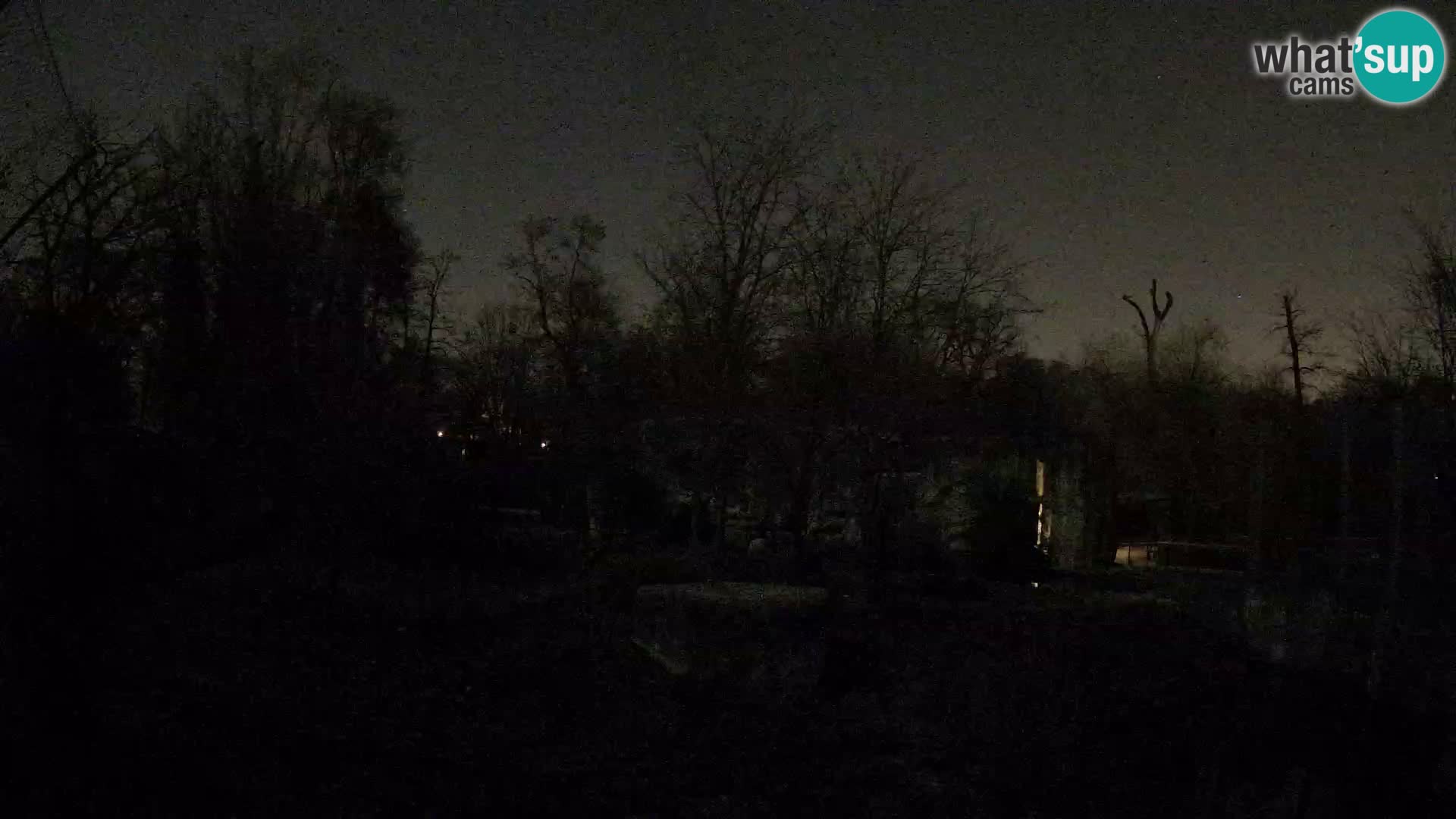 Zoo Zagreb – Leoni