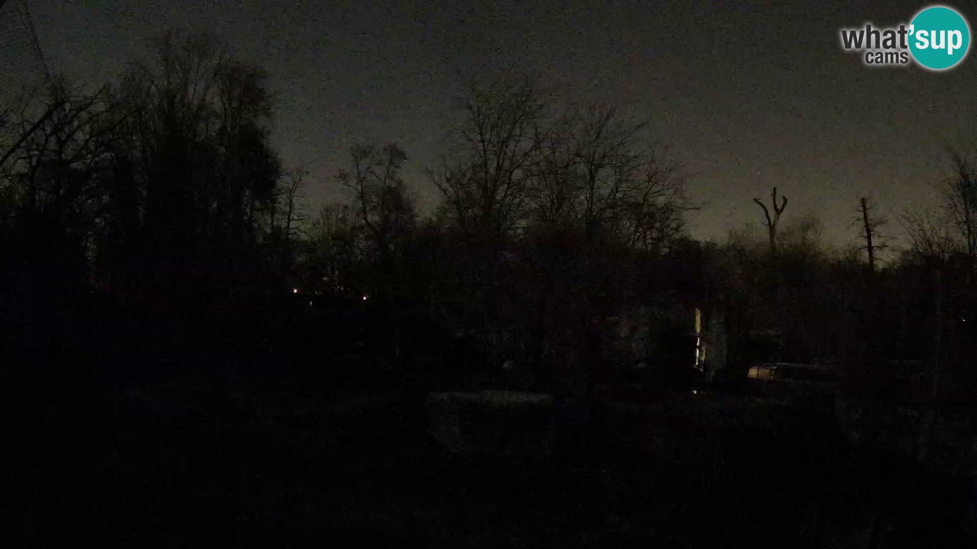 Zoo Zagreb – Leones