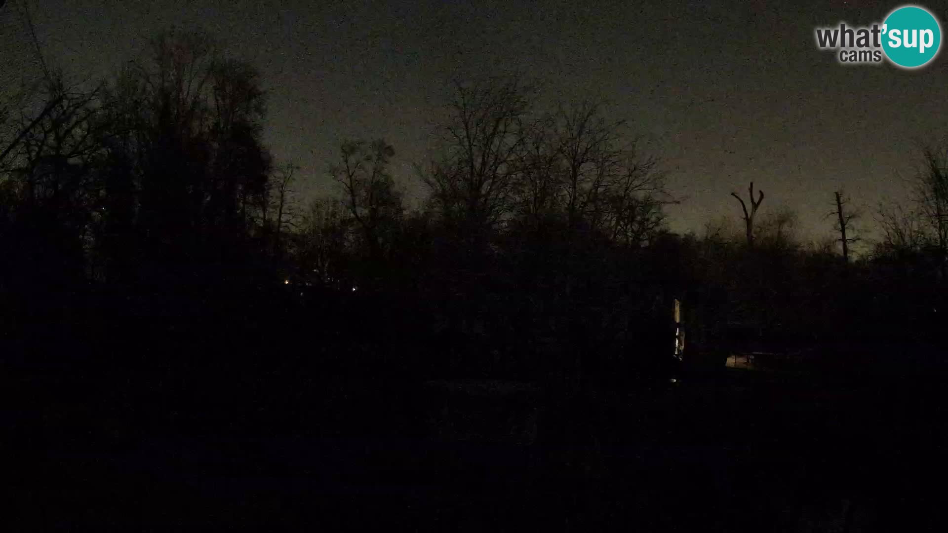 Zoo Zagreb – Leoni