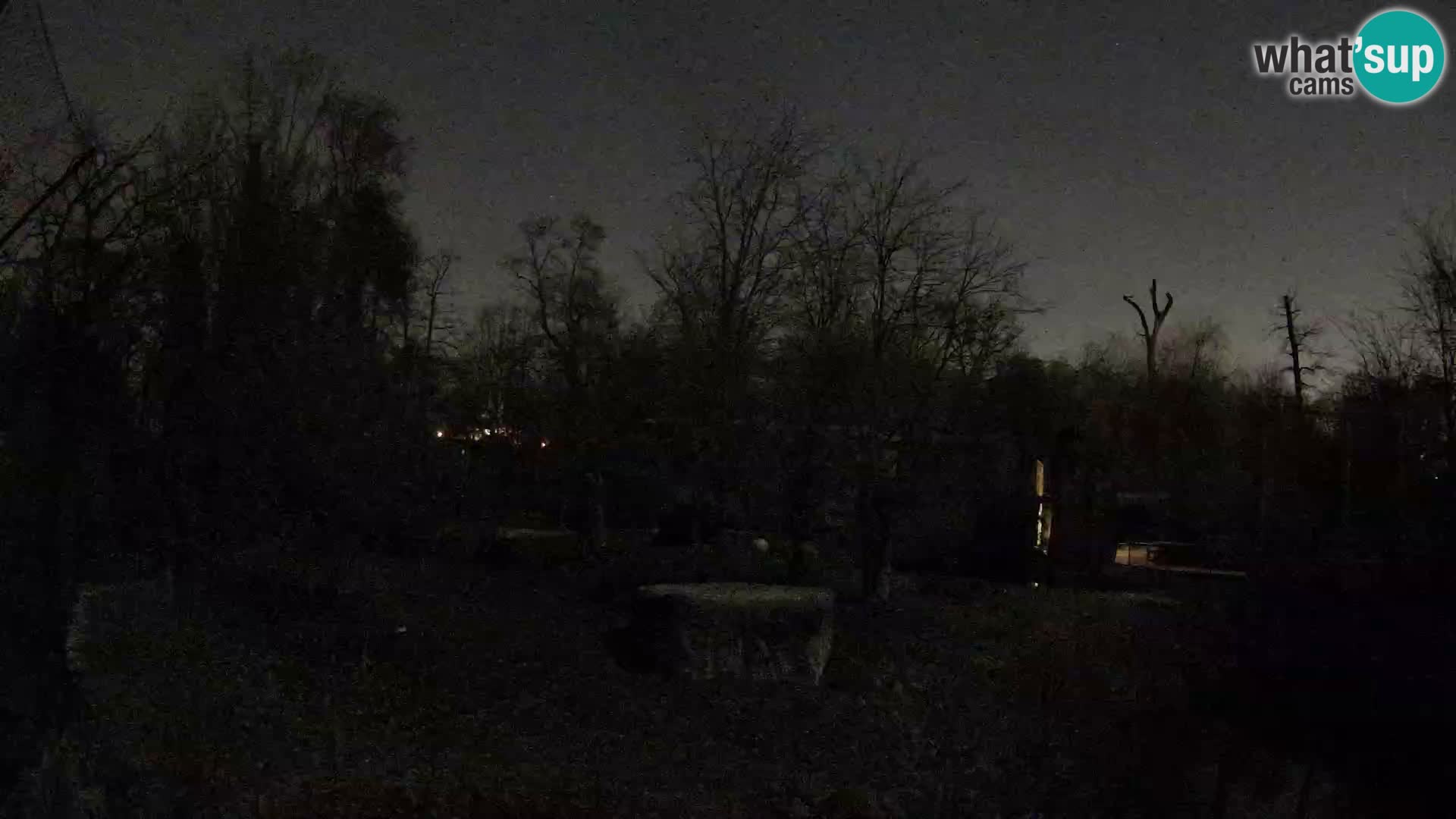 Spletna kamera Zoo Zagreb – Levi