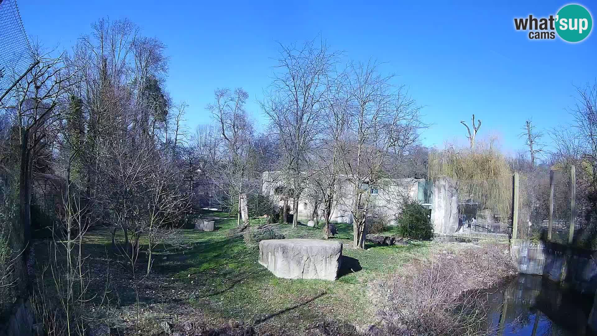 Zoo Zagreb – Leones