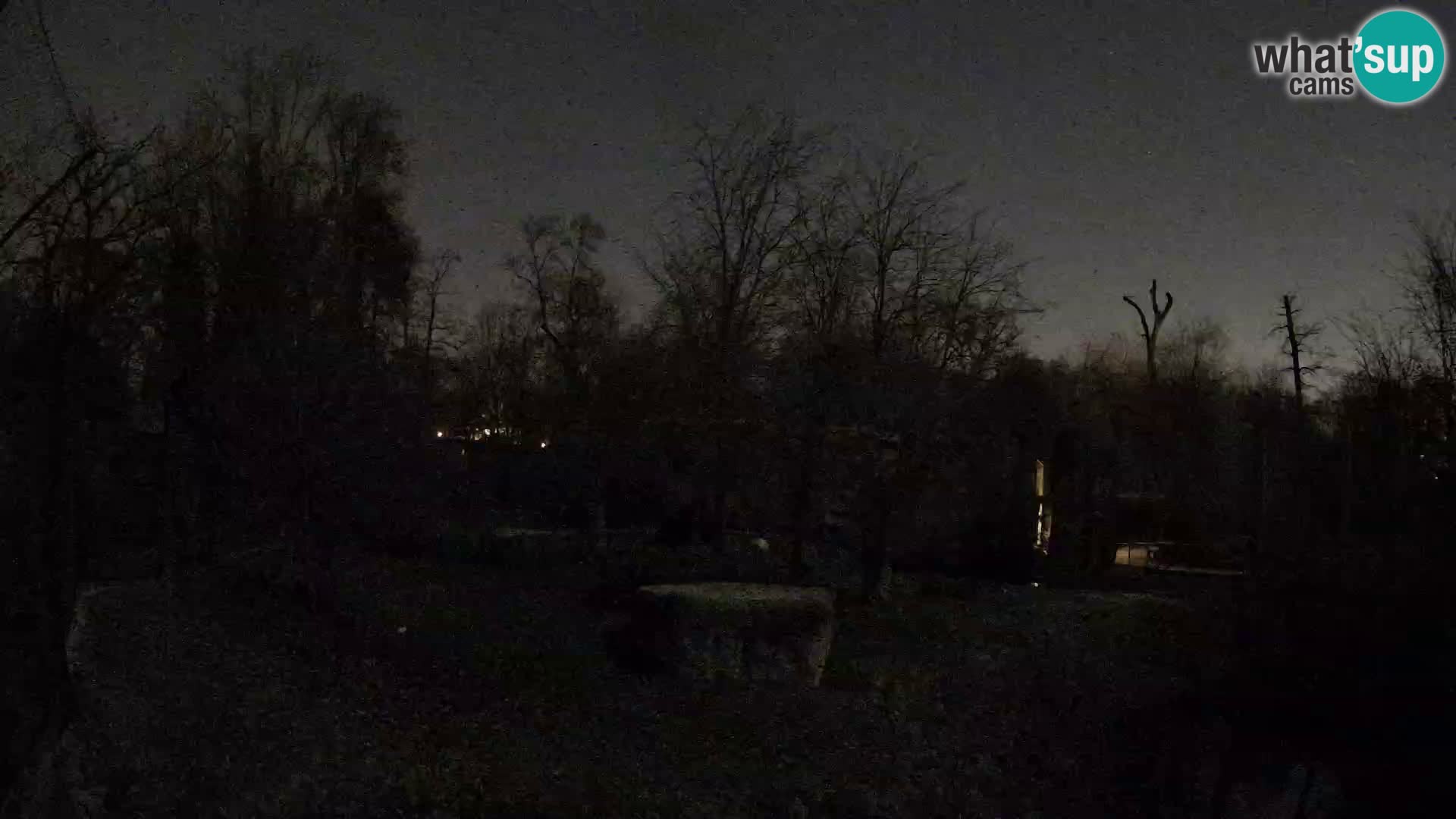 Zoo Zagreb – Löwen