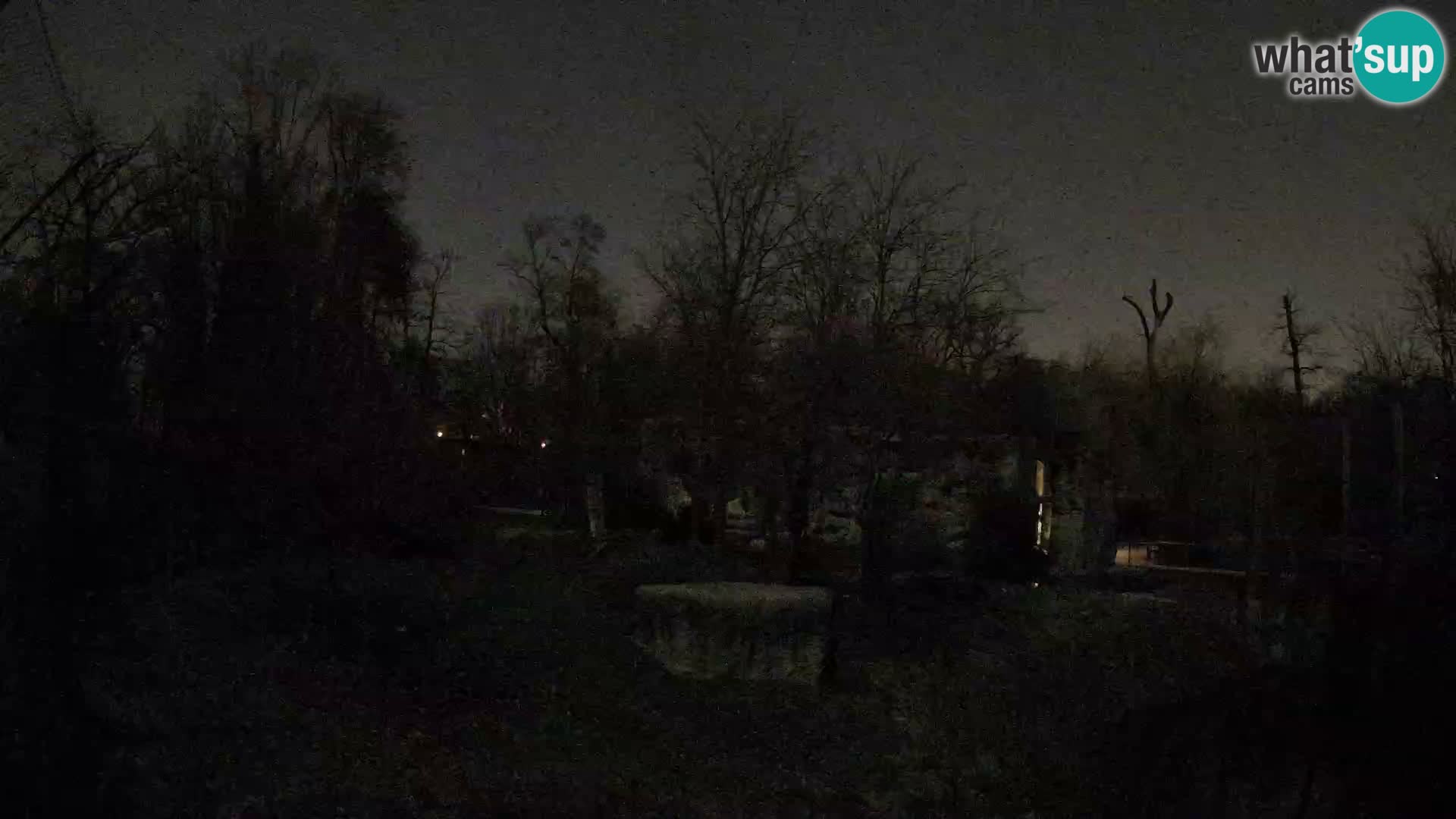 Zoo Zagreb – Leoni