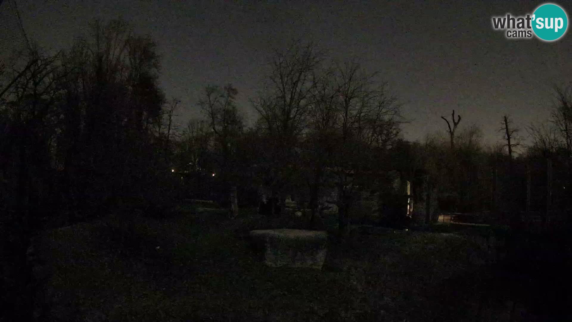 Zoo Zagreb – Lavovi