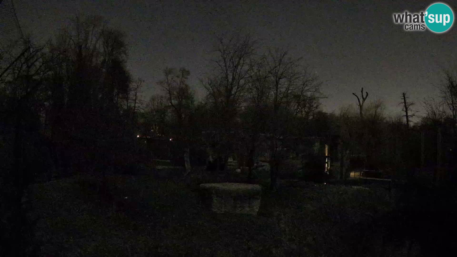 Zoo Zagreb – Löwen