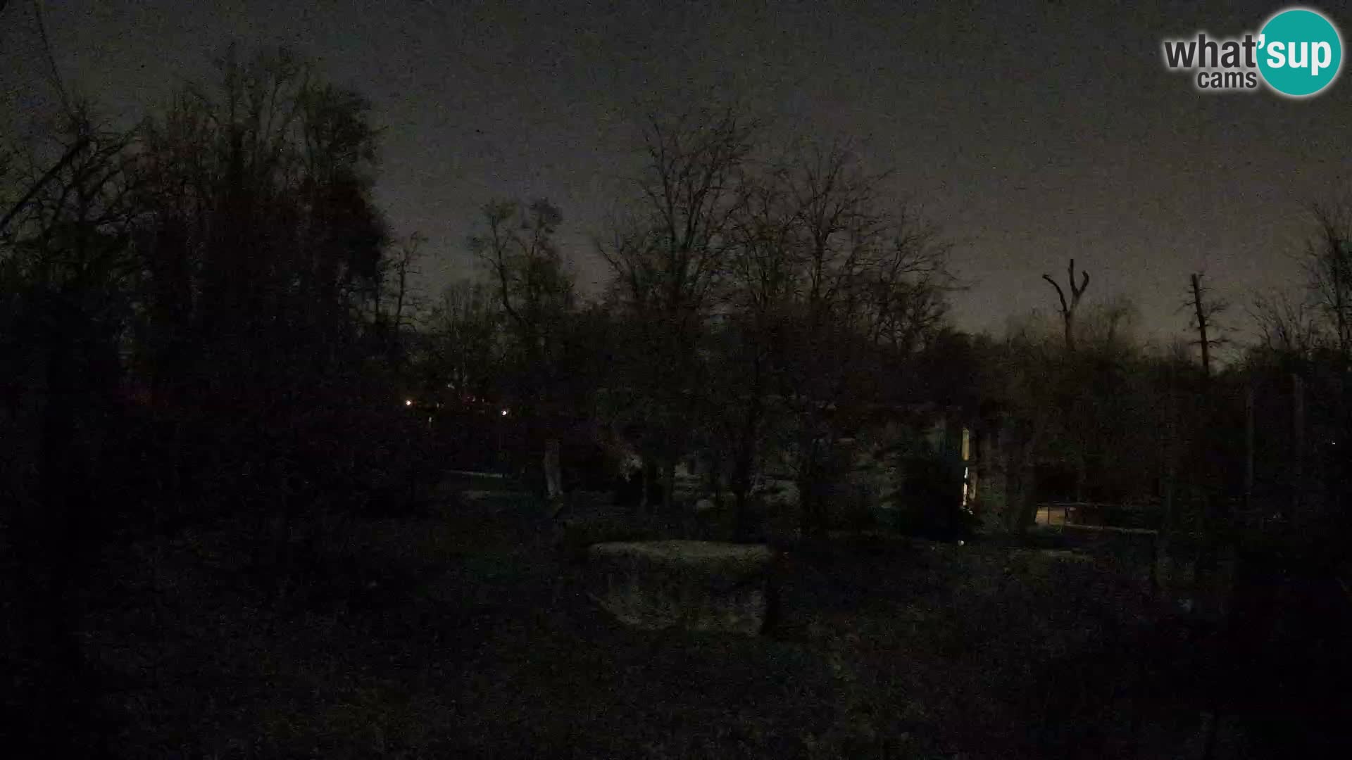 Zoo Zagreb – Lavovi