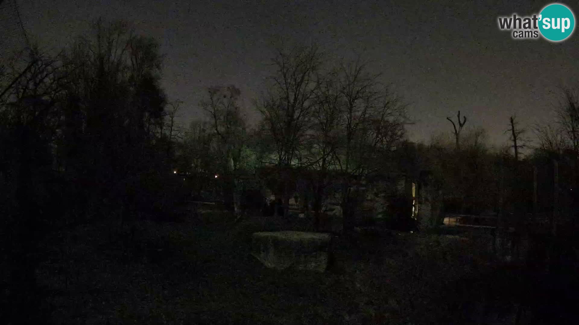 Spletna kamera Zoo Zagreb – Levi