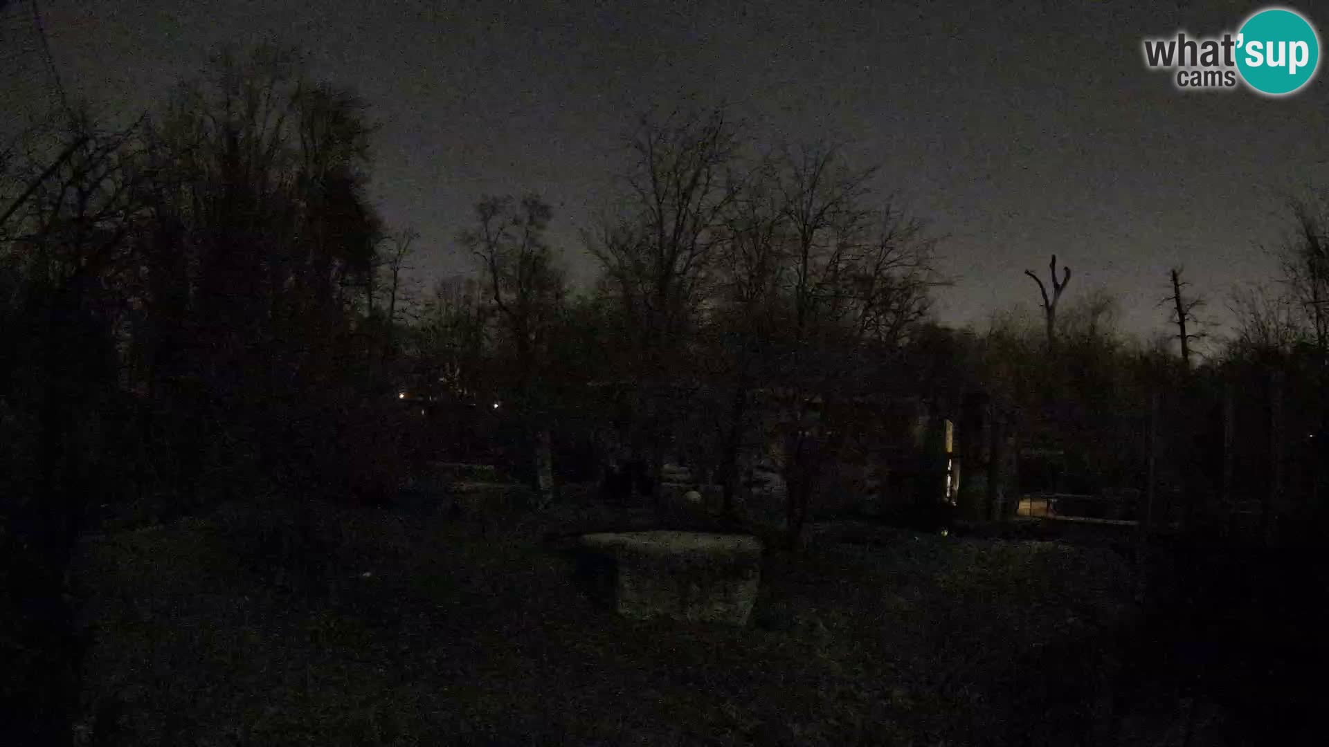 Zoo Zagreb – Lavovi