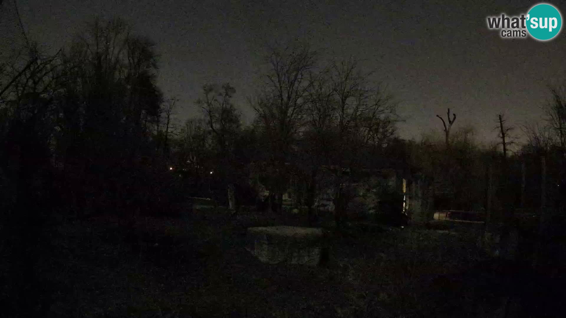 Zoo Zagreb – Leoni