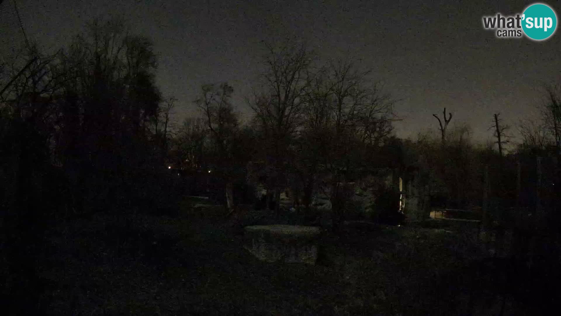 Zoo Zagreb – Löwen