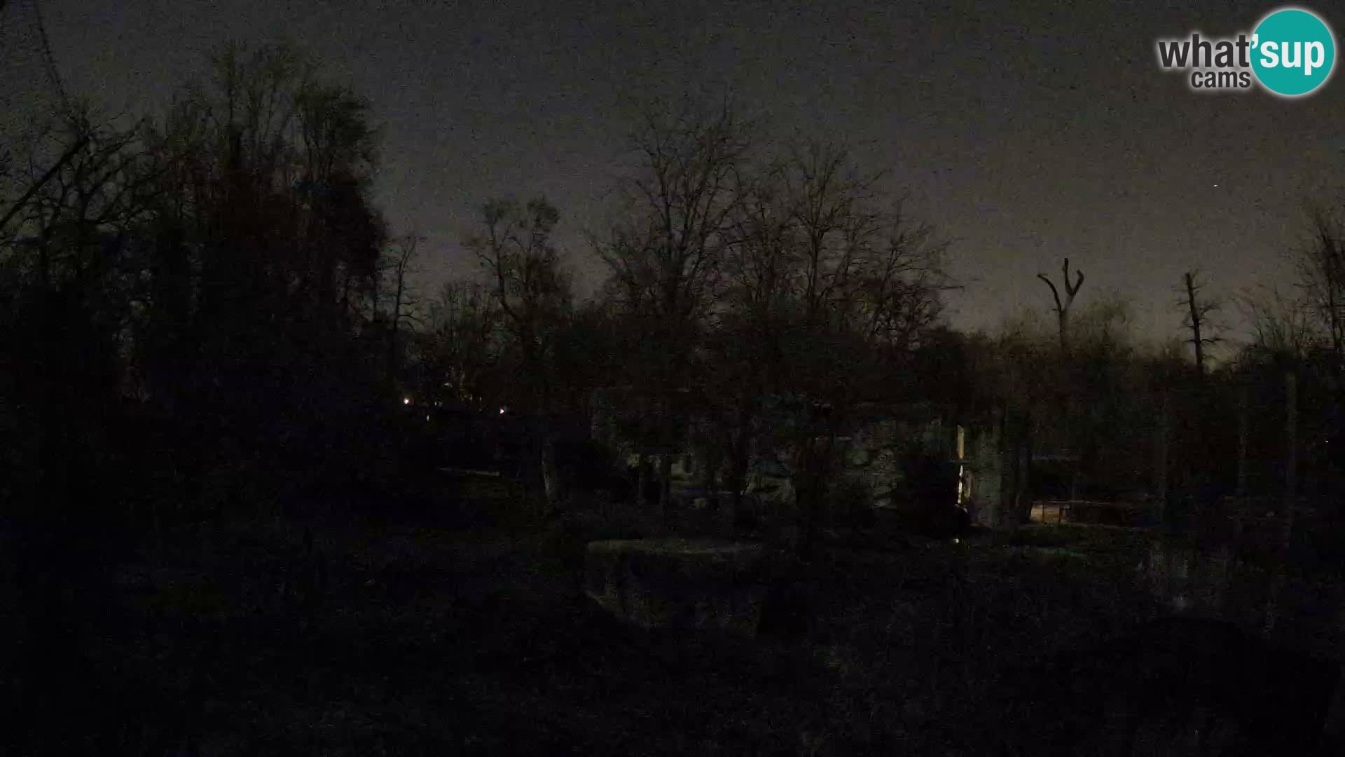 Zoo Zagreb – Löwen