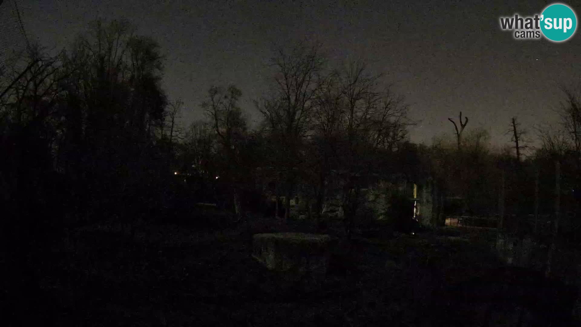 Zoo Zagreb – Löwen