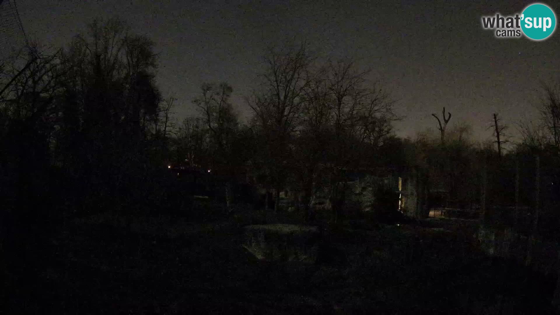 Spletna kamera Zoo Zagreb – Levi