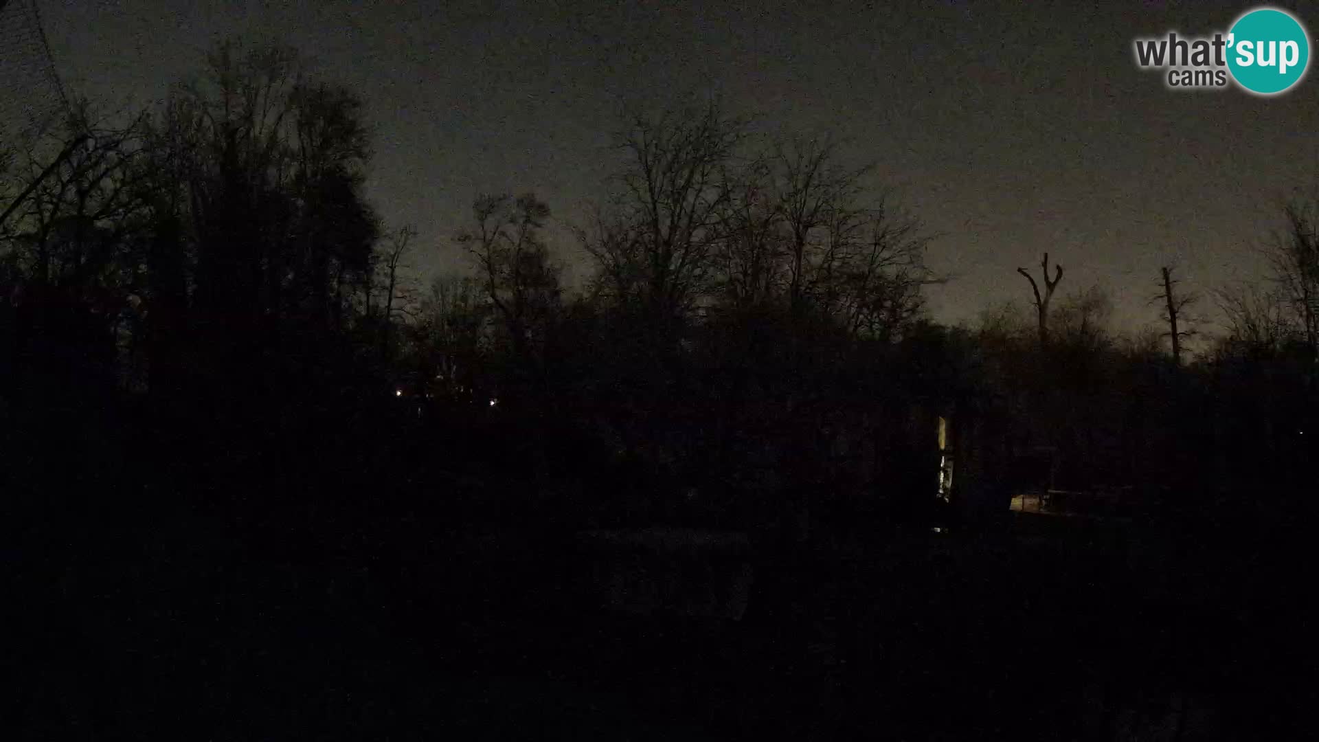 Zoo Zagreb – Leoni