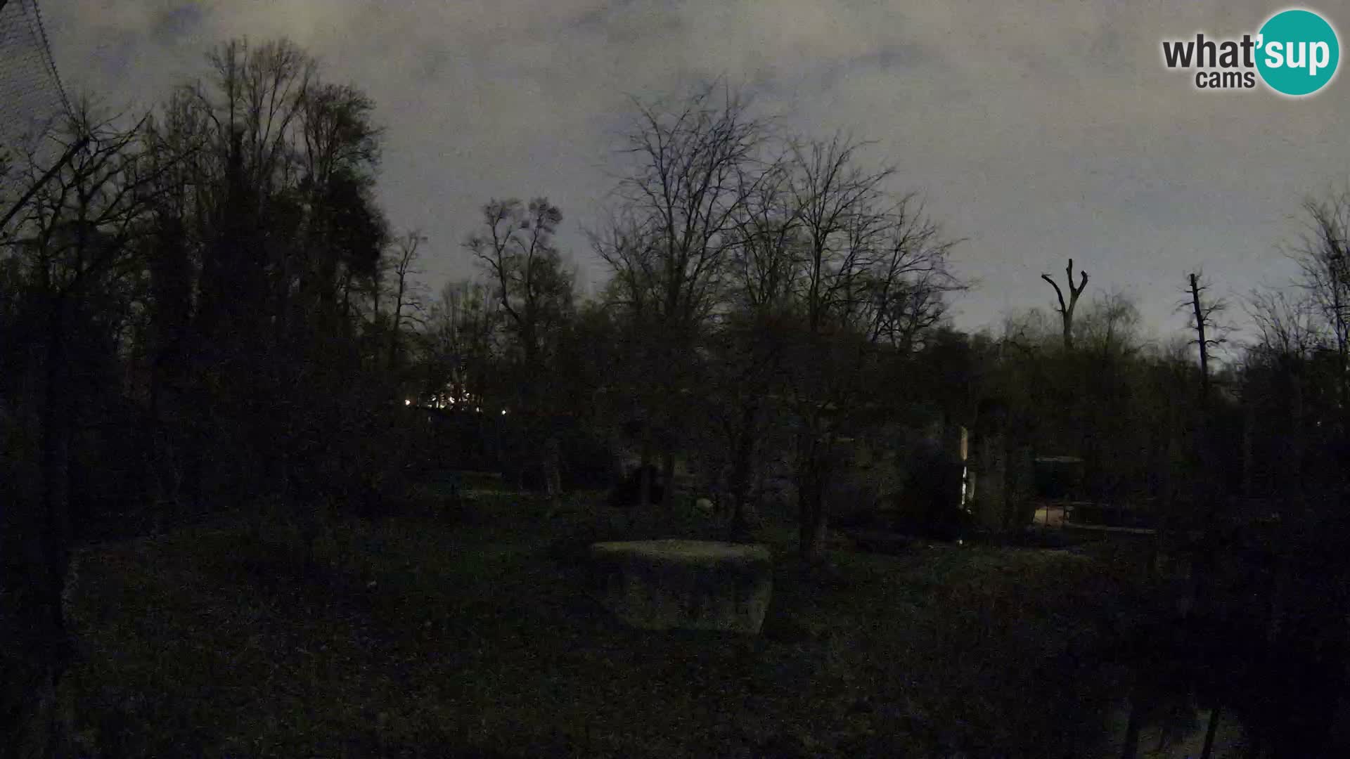 Zoo Zagreb – Leoni