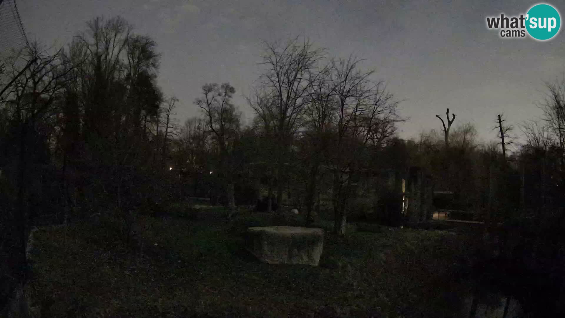 Zoo Zagreb – Leoni