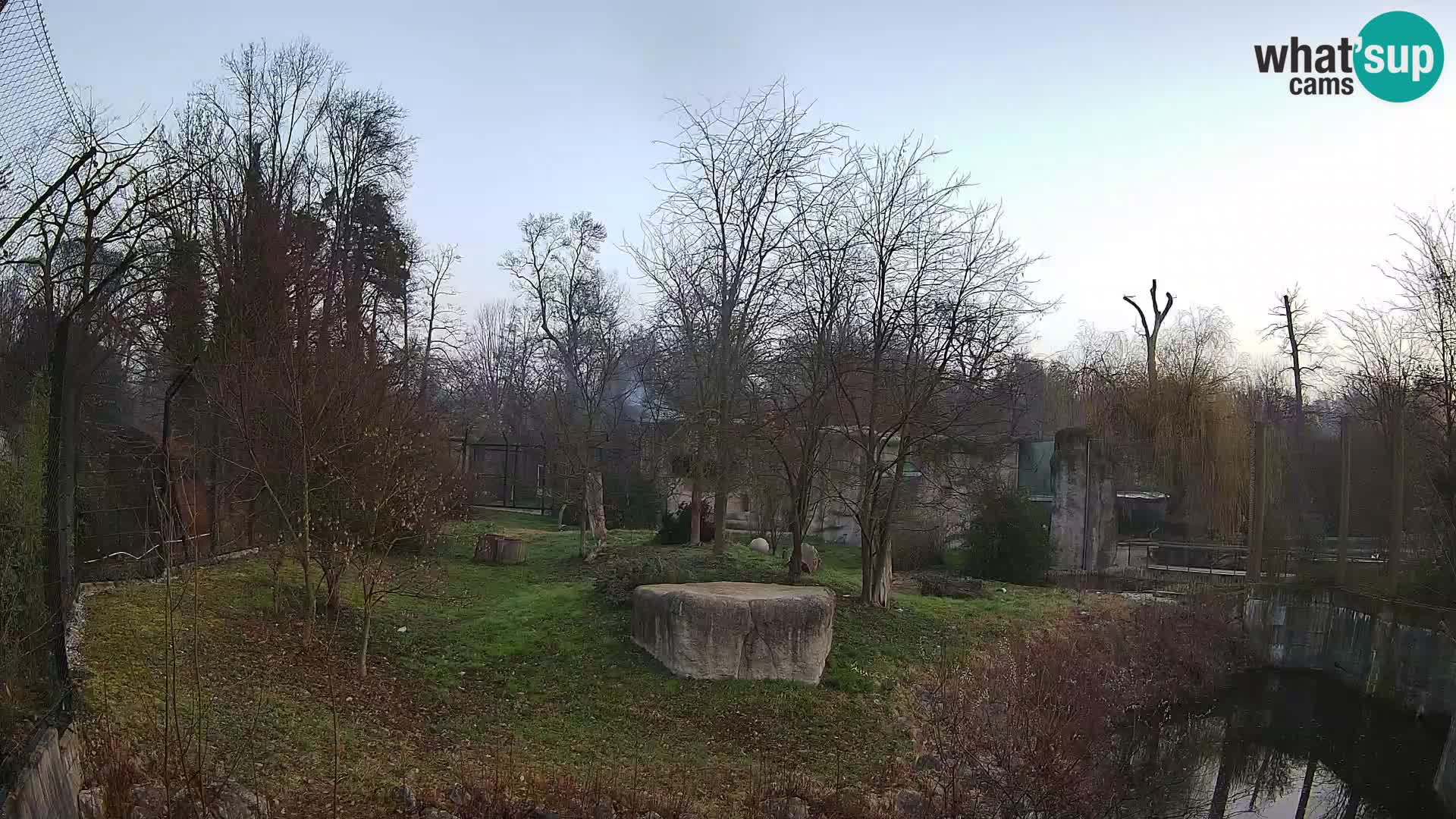 Zoo Zagreb – Löwen