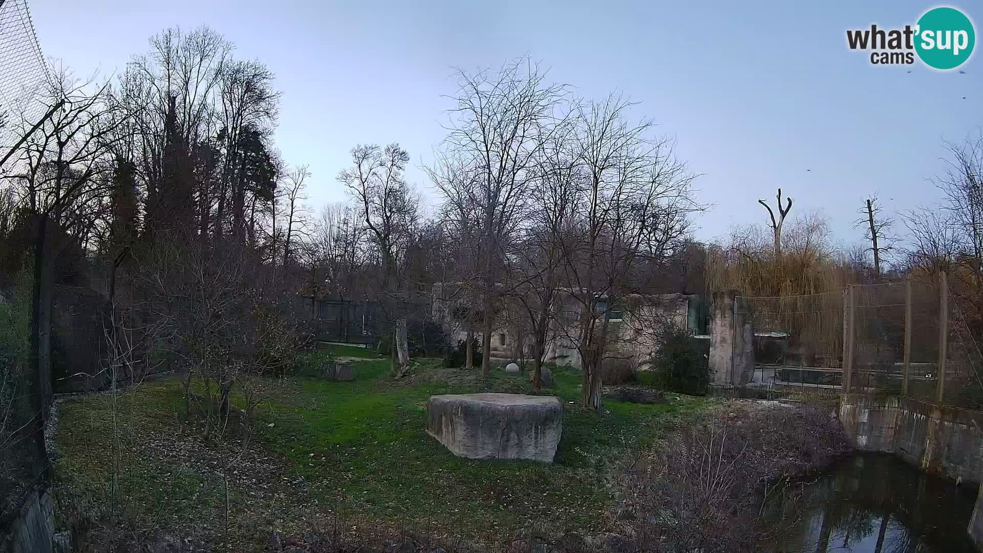 Zoo Zagreb – Lavovi