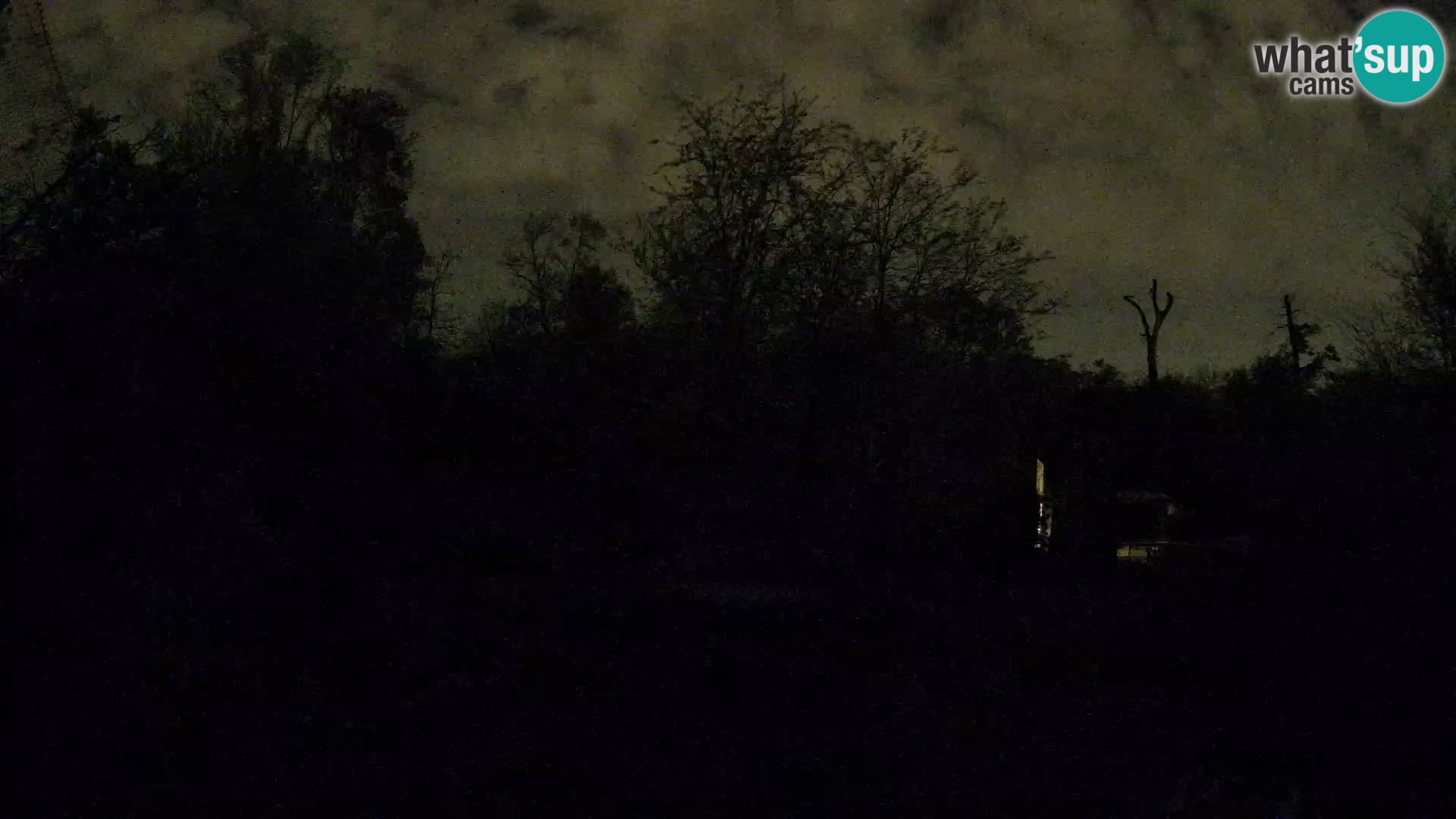 Zoo Zagreb – Lavovi