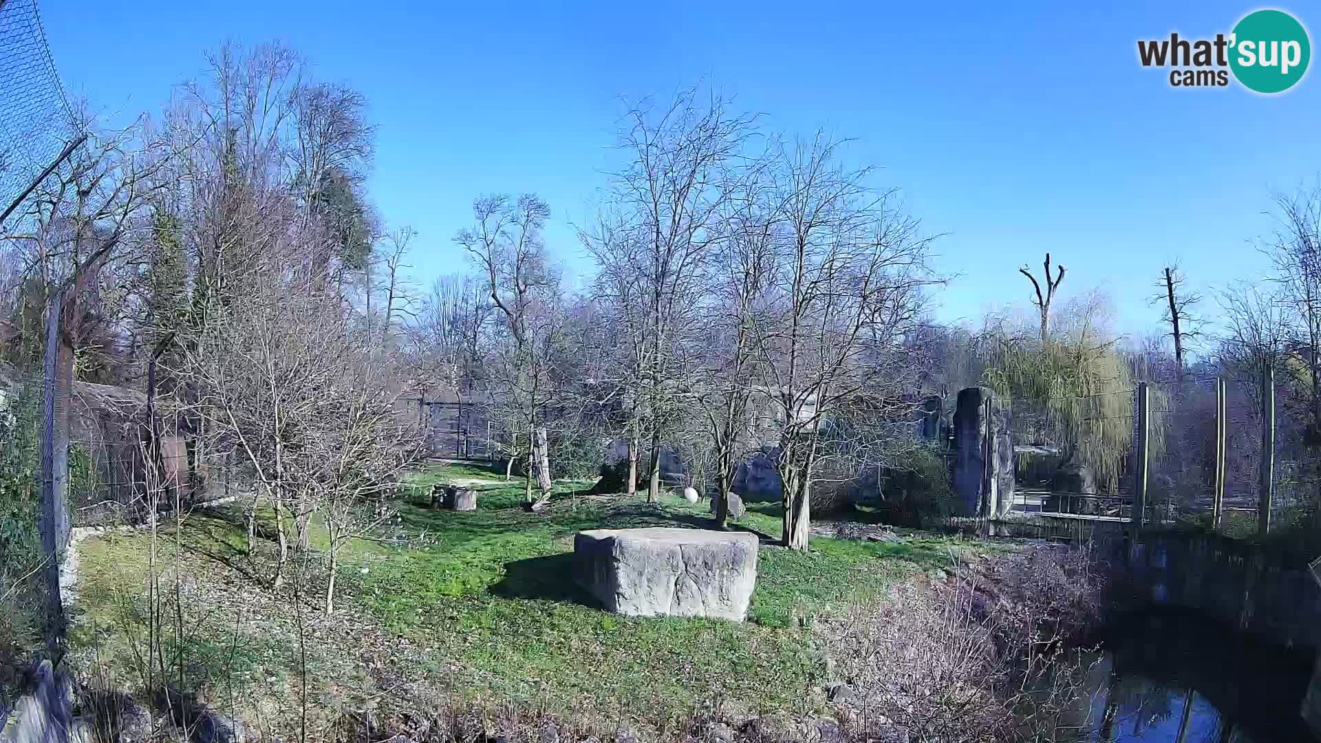 Spletna kamera Zoo Zagreb – Levi