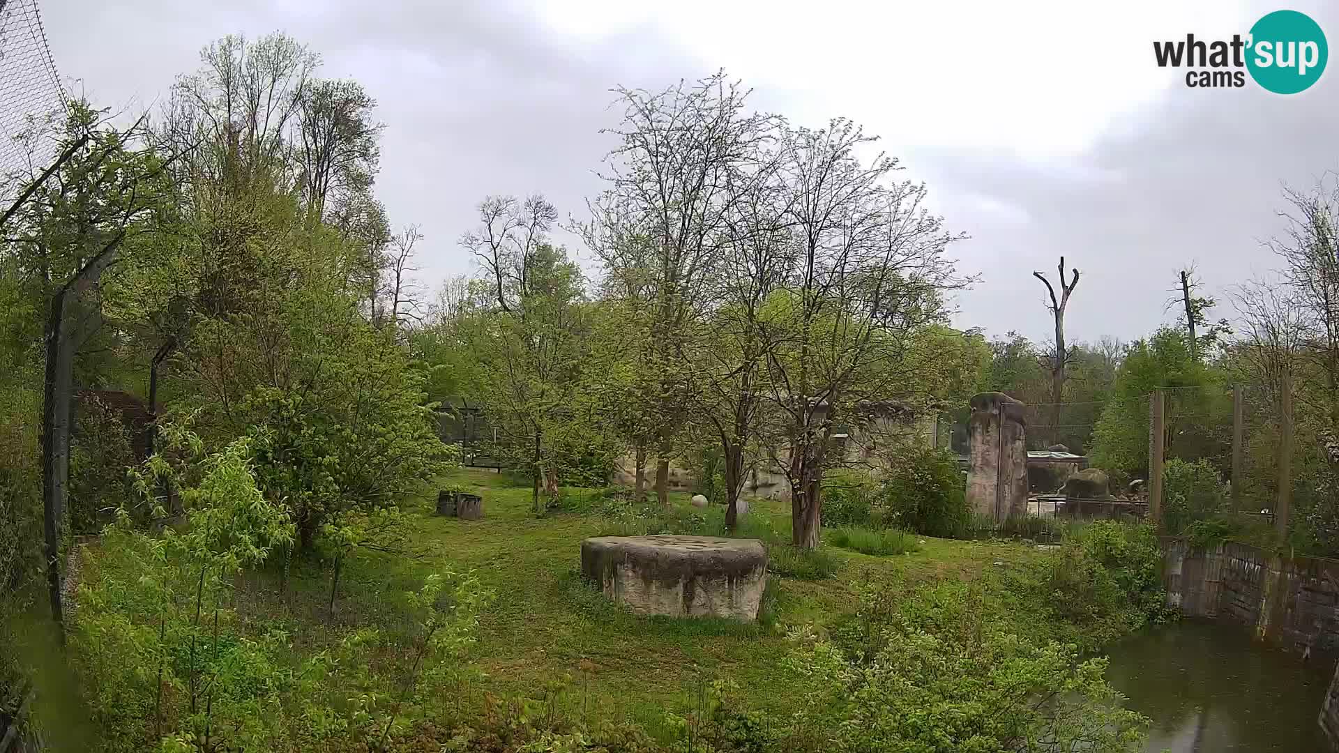 Spletna kamera Zoo Zagreb – Levi