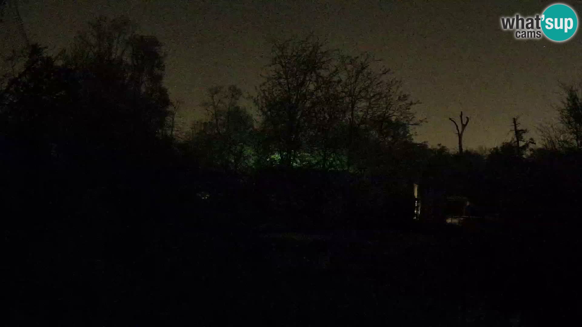 Zoo Zagreb – Leones