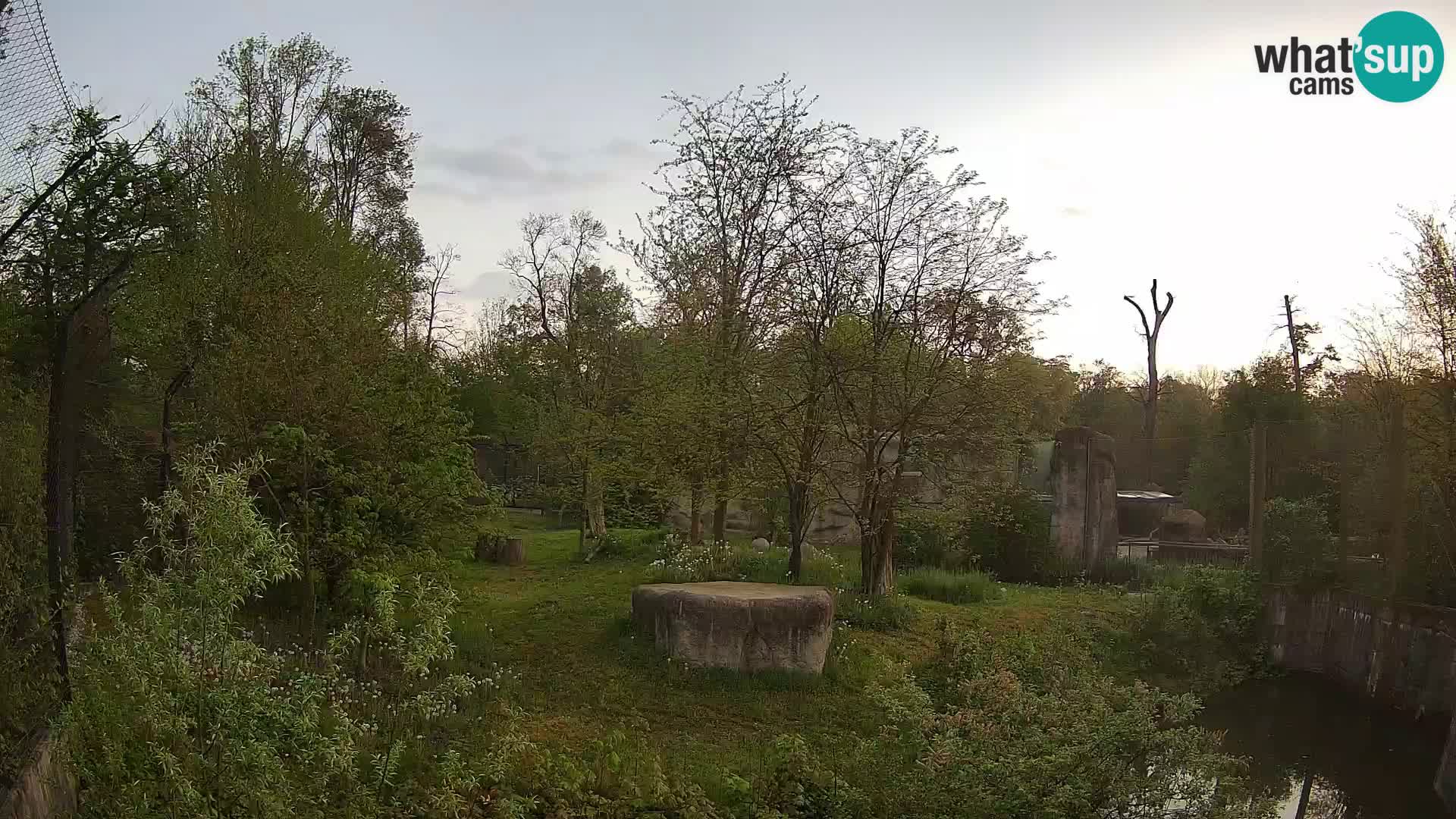 Zoo Zagreb – Leones