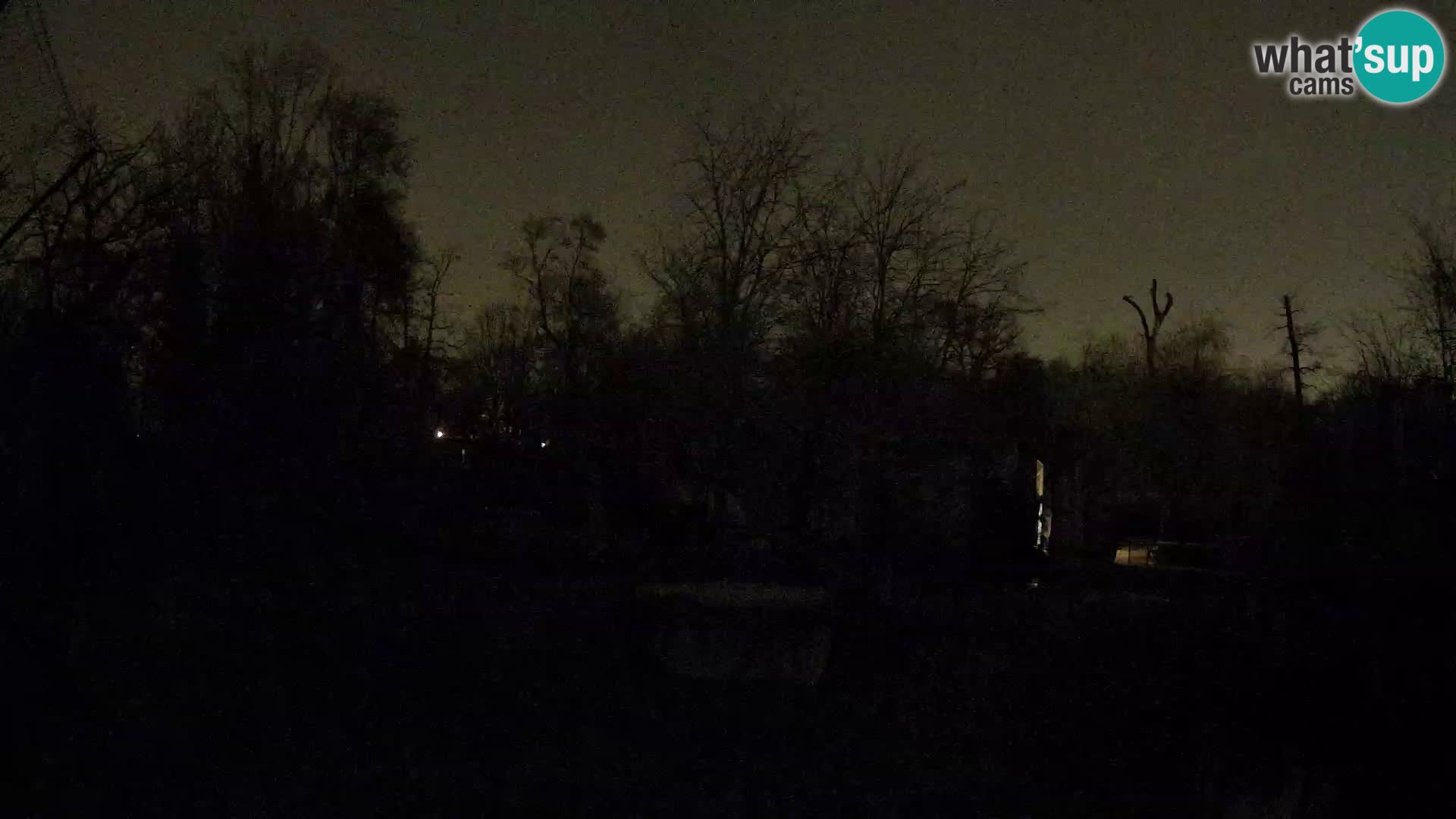 Zoo Zagreb – Leoni