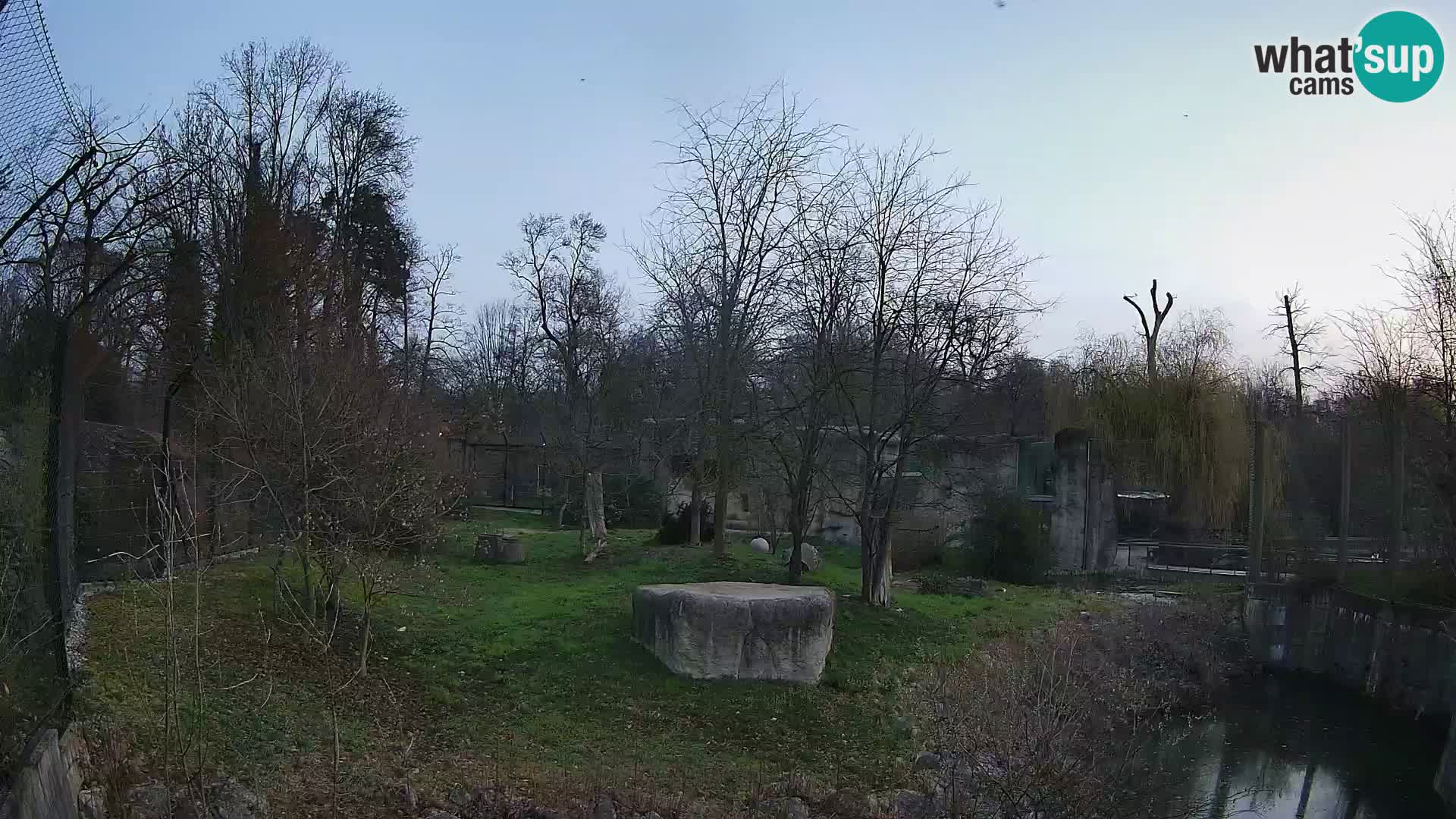 Zoo Zagreb – Leoni