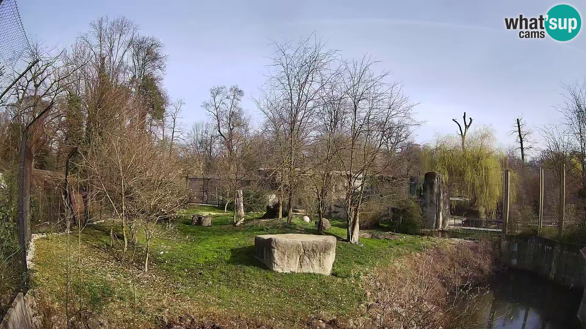 Zoo Zagreb – Lavovi