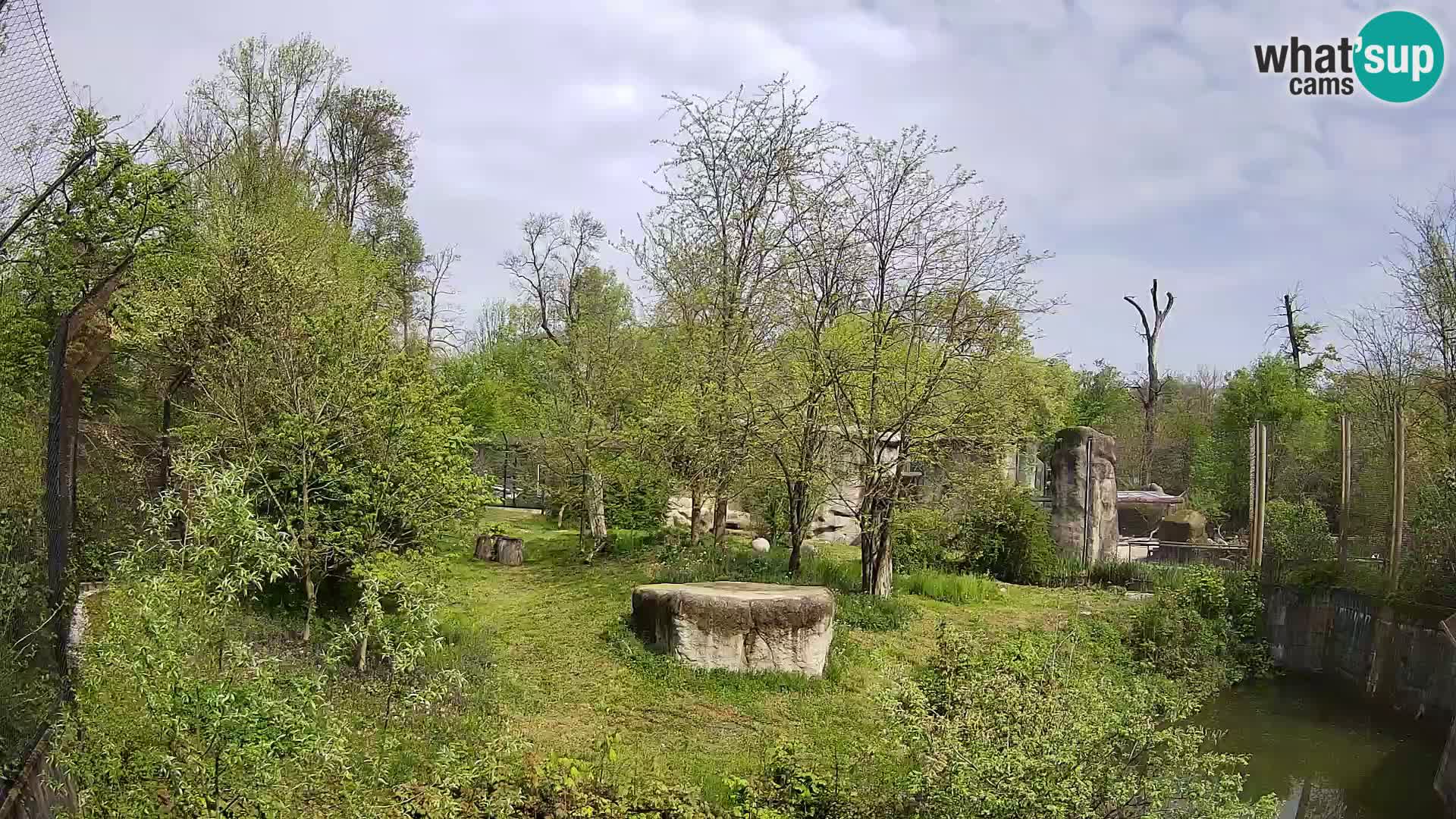 Zoo Zagreb – Leoni