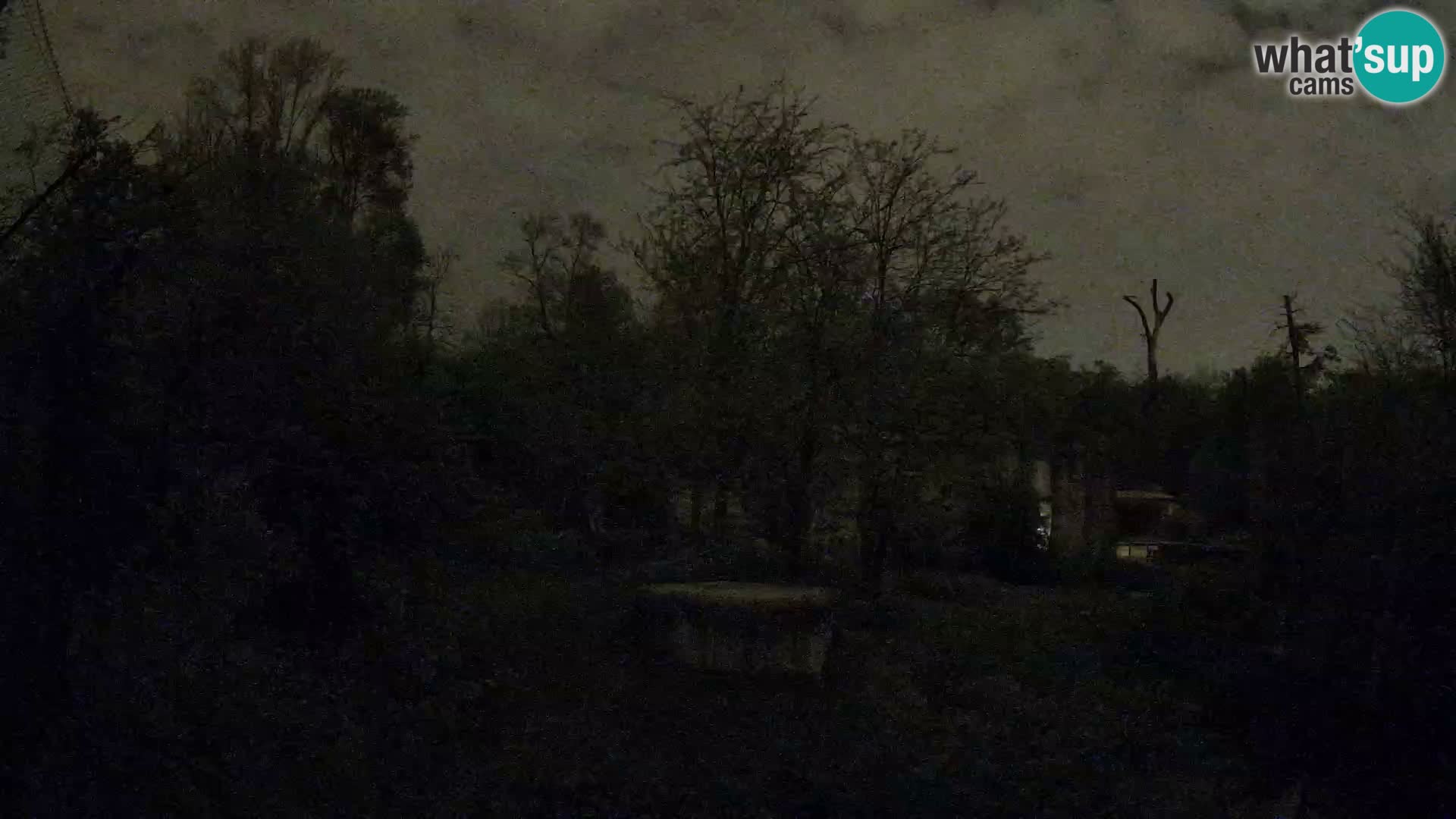 Zoo Zagreb – Lavovi