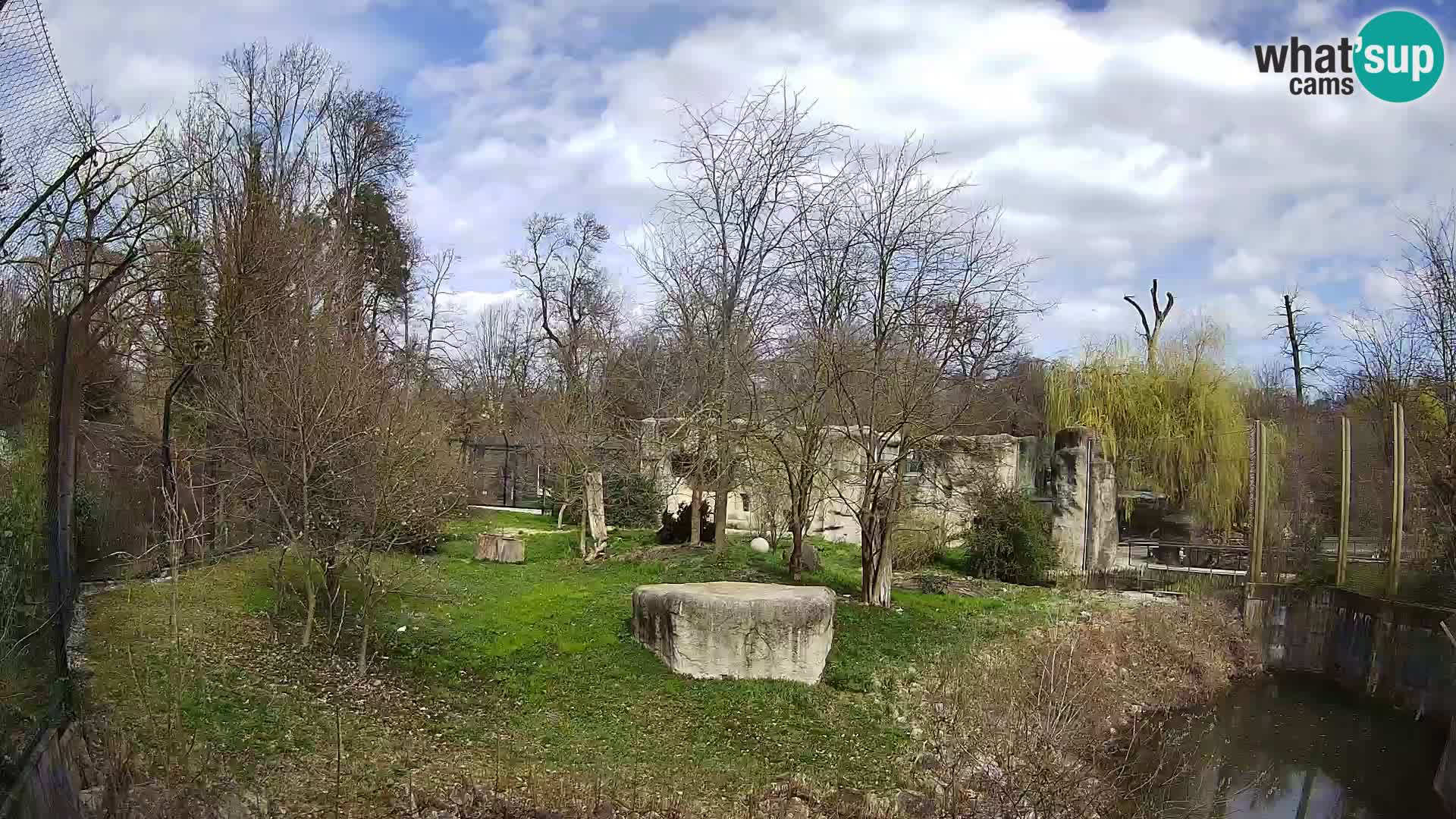 Zoo Zagreb – Leoni