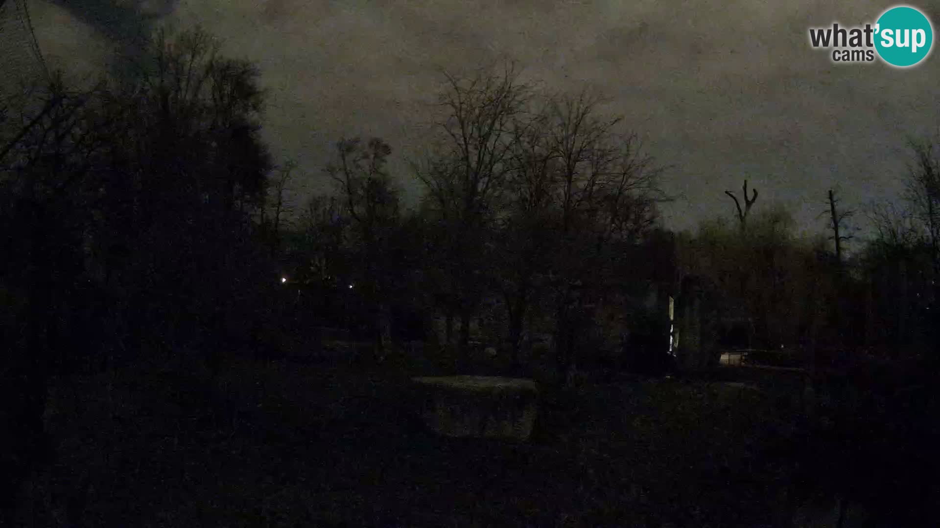 Spletna kamera Zoo Zagreb – Levi