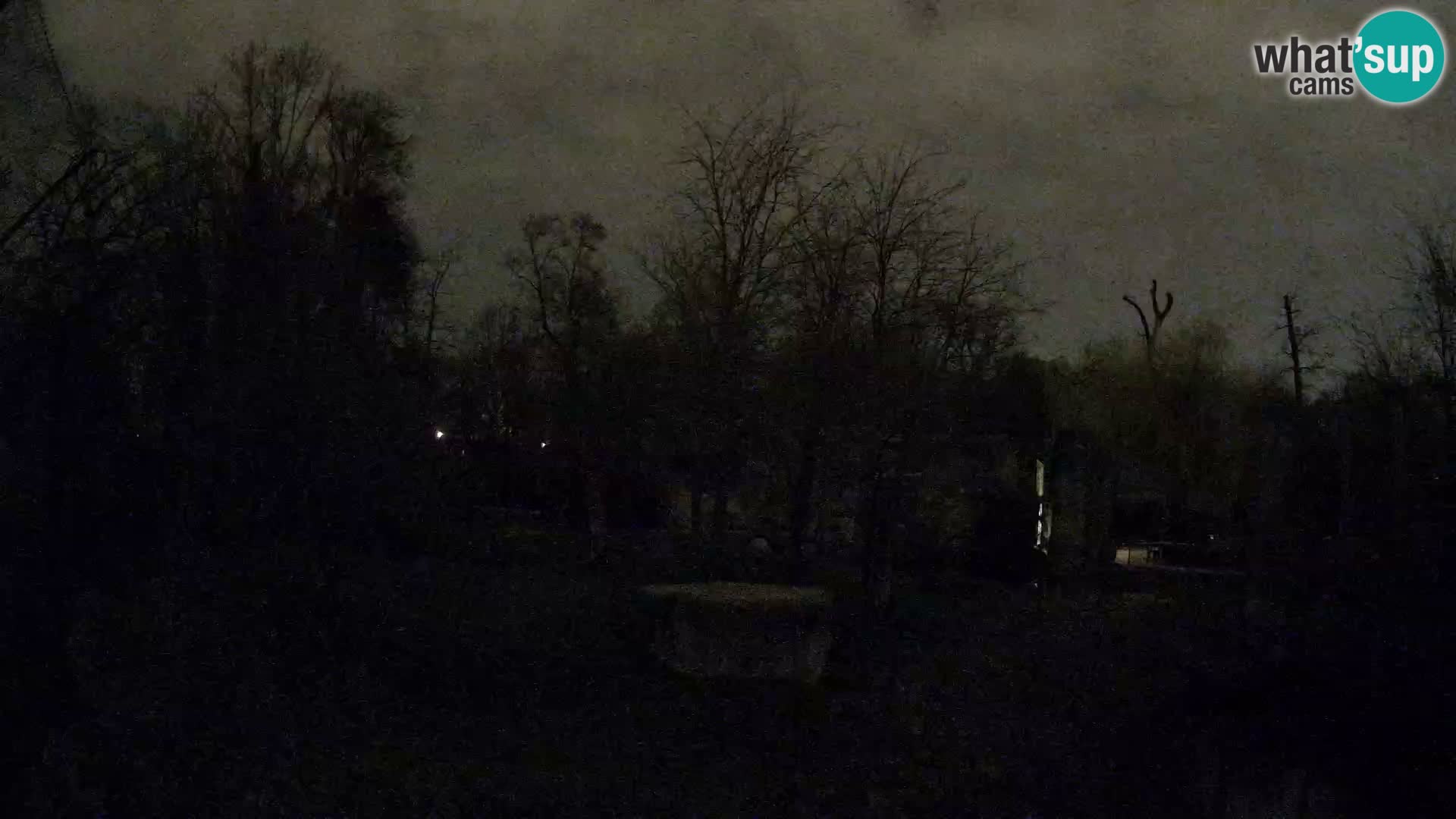 Zoo Zagreb – Lavovi