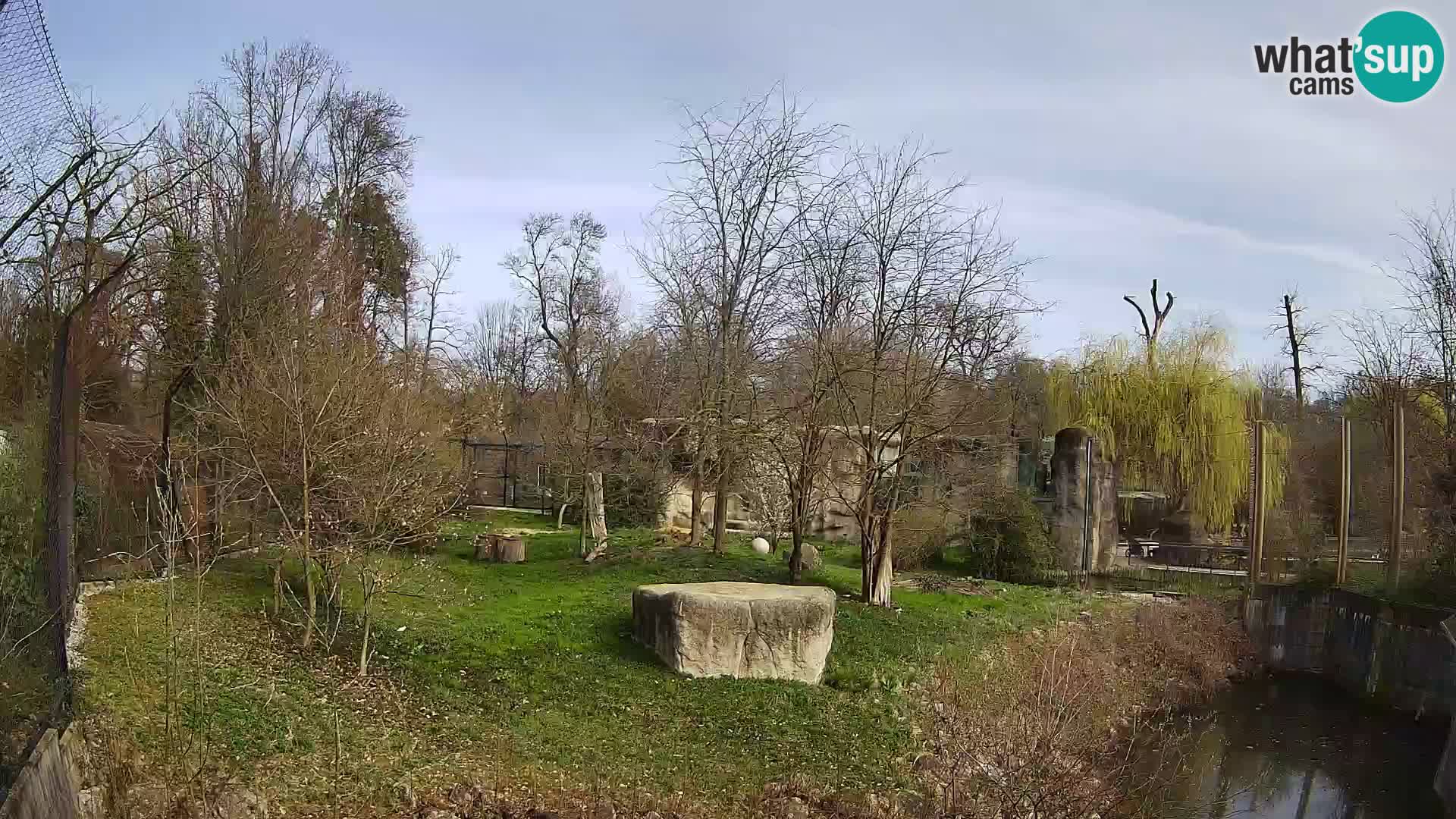 Zoo Zagreb – Leoni