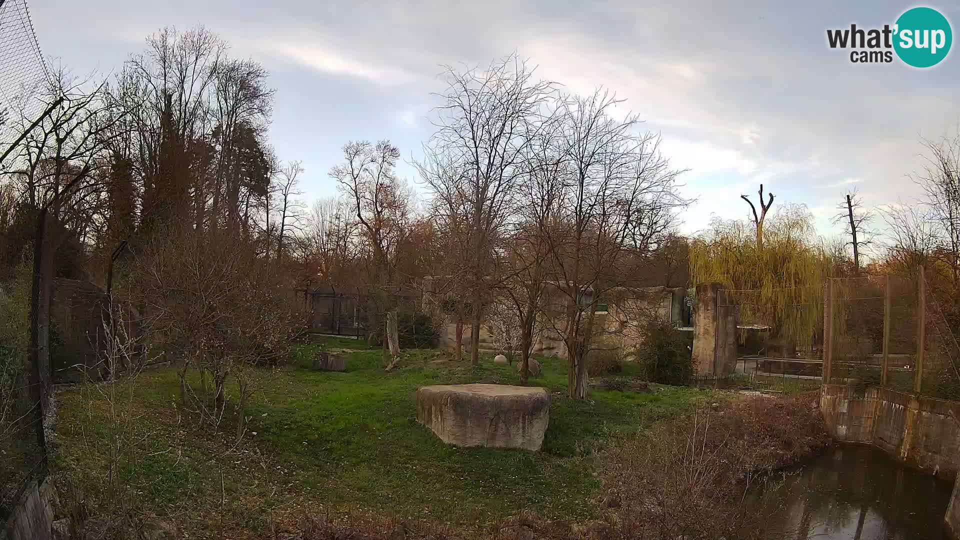 Zoo Zagreb – Leoni