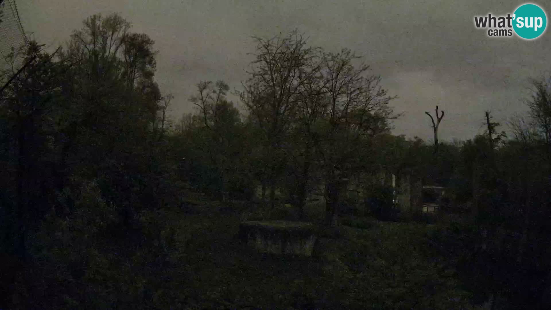 Zoo Zagreb – Lavovi