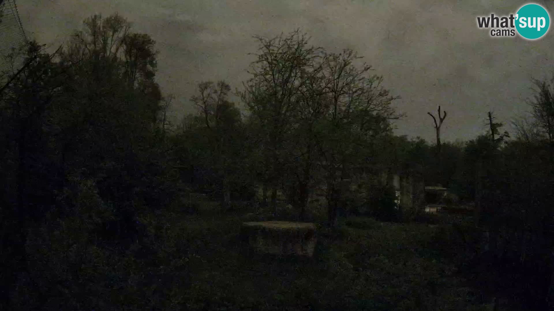 Zoo Zagreb – Leones