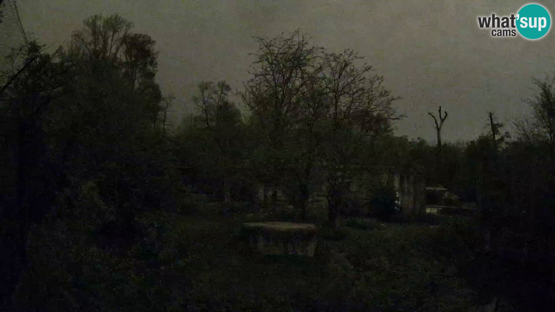 Zoo Zagreb – Löwen