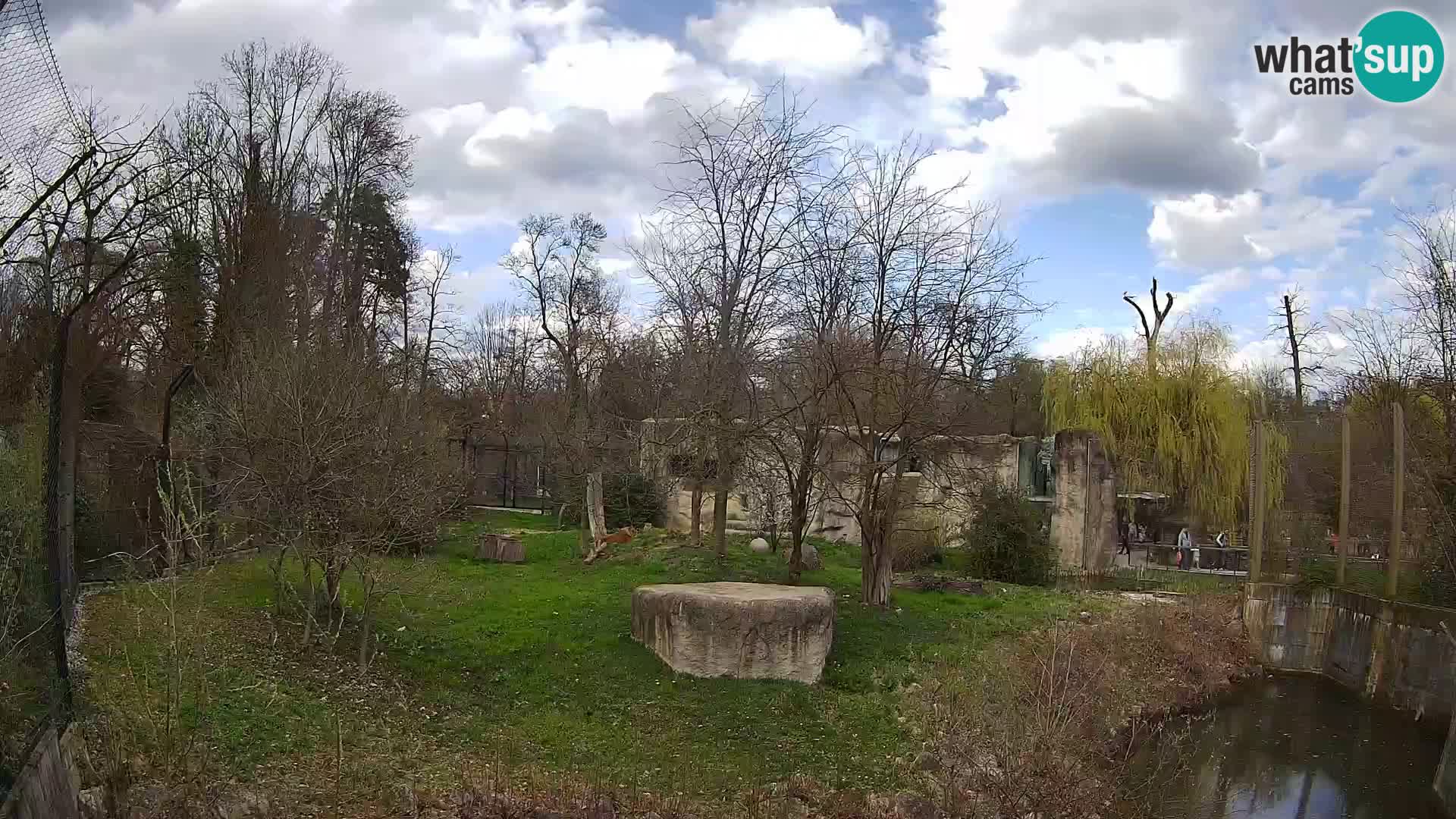 Zoo Zagreb – Löwen