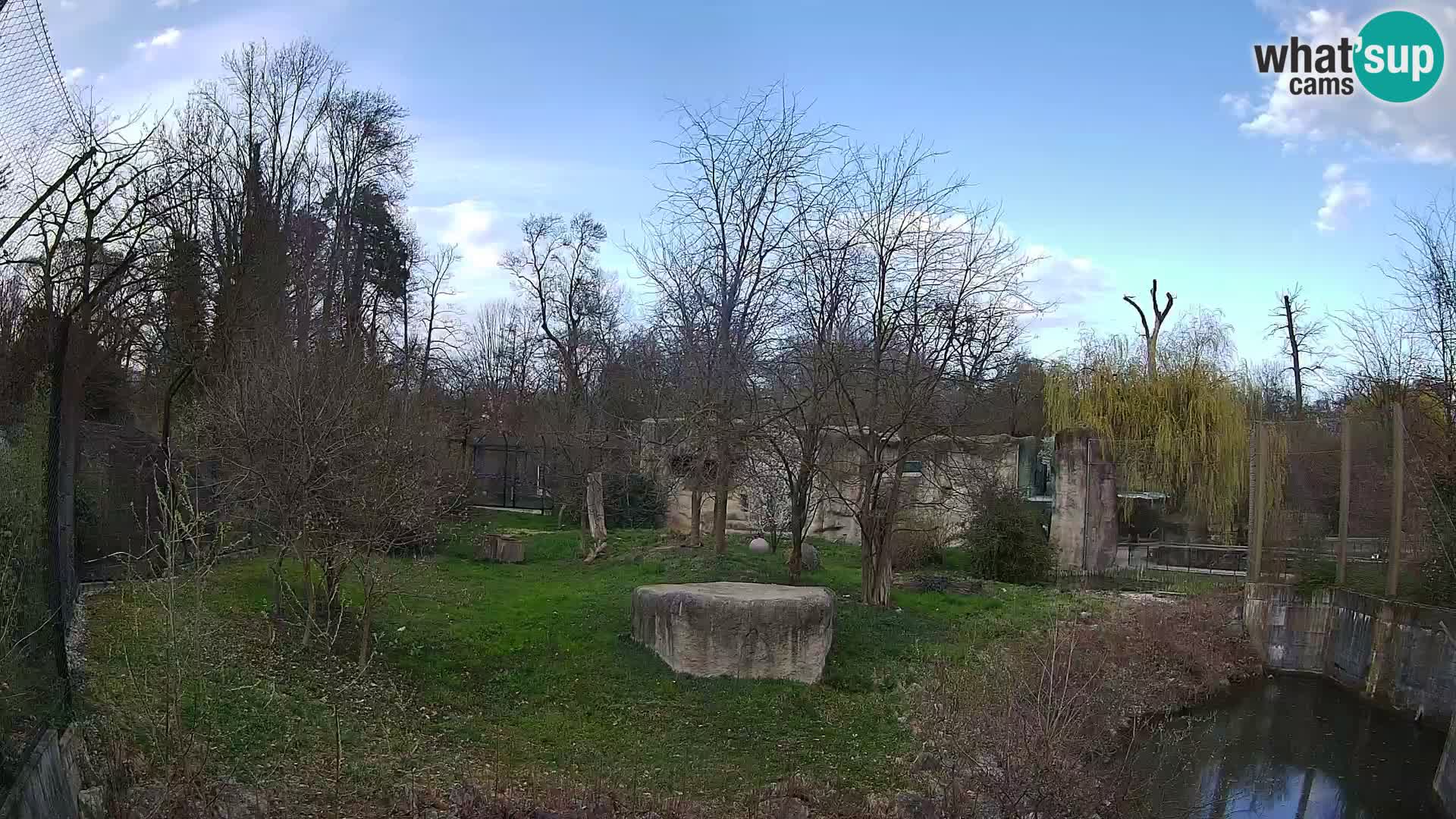 Zoo Zagreb – Löwen