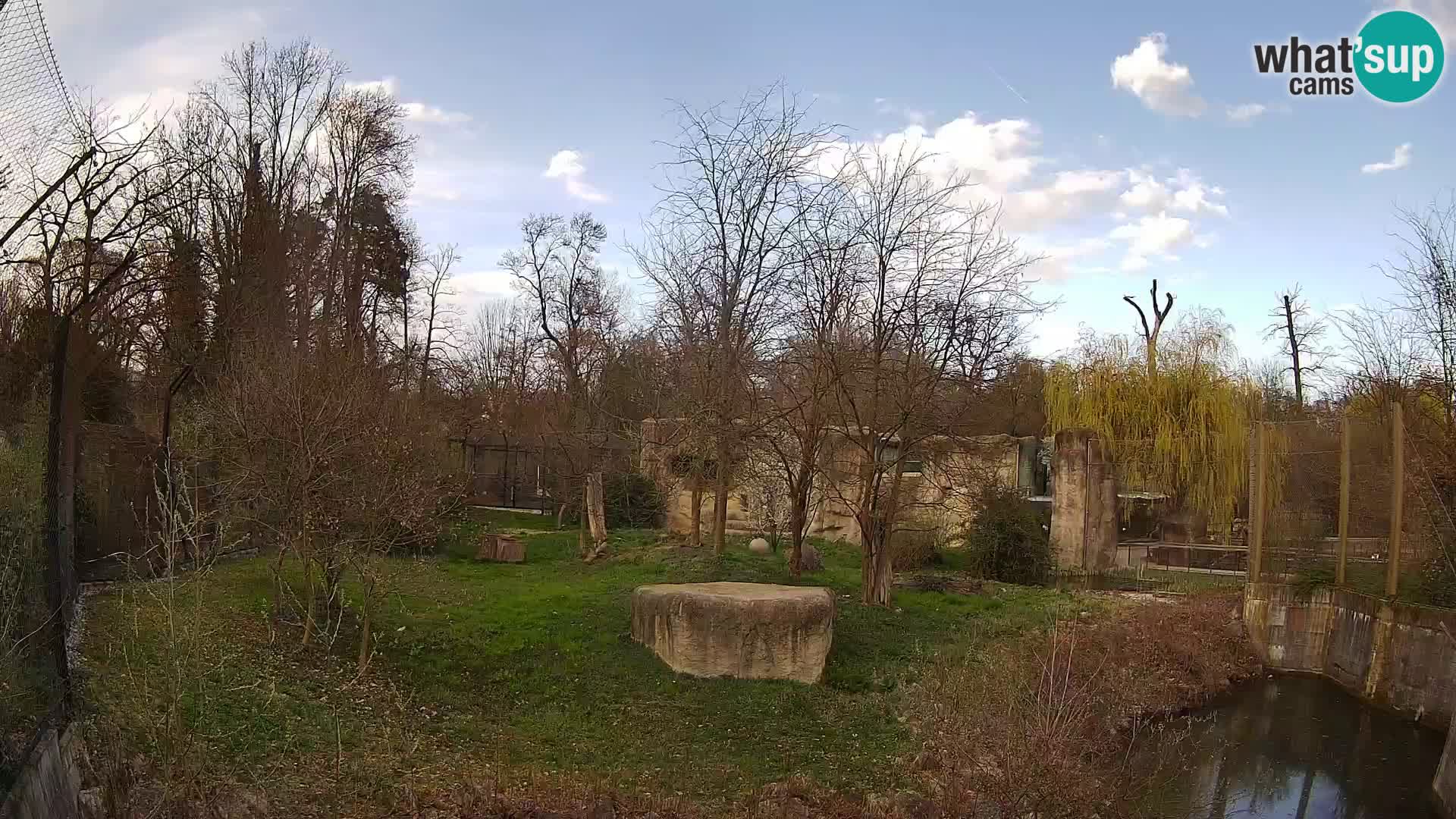 Zoo Zagreb – Leones