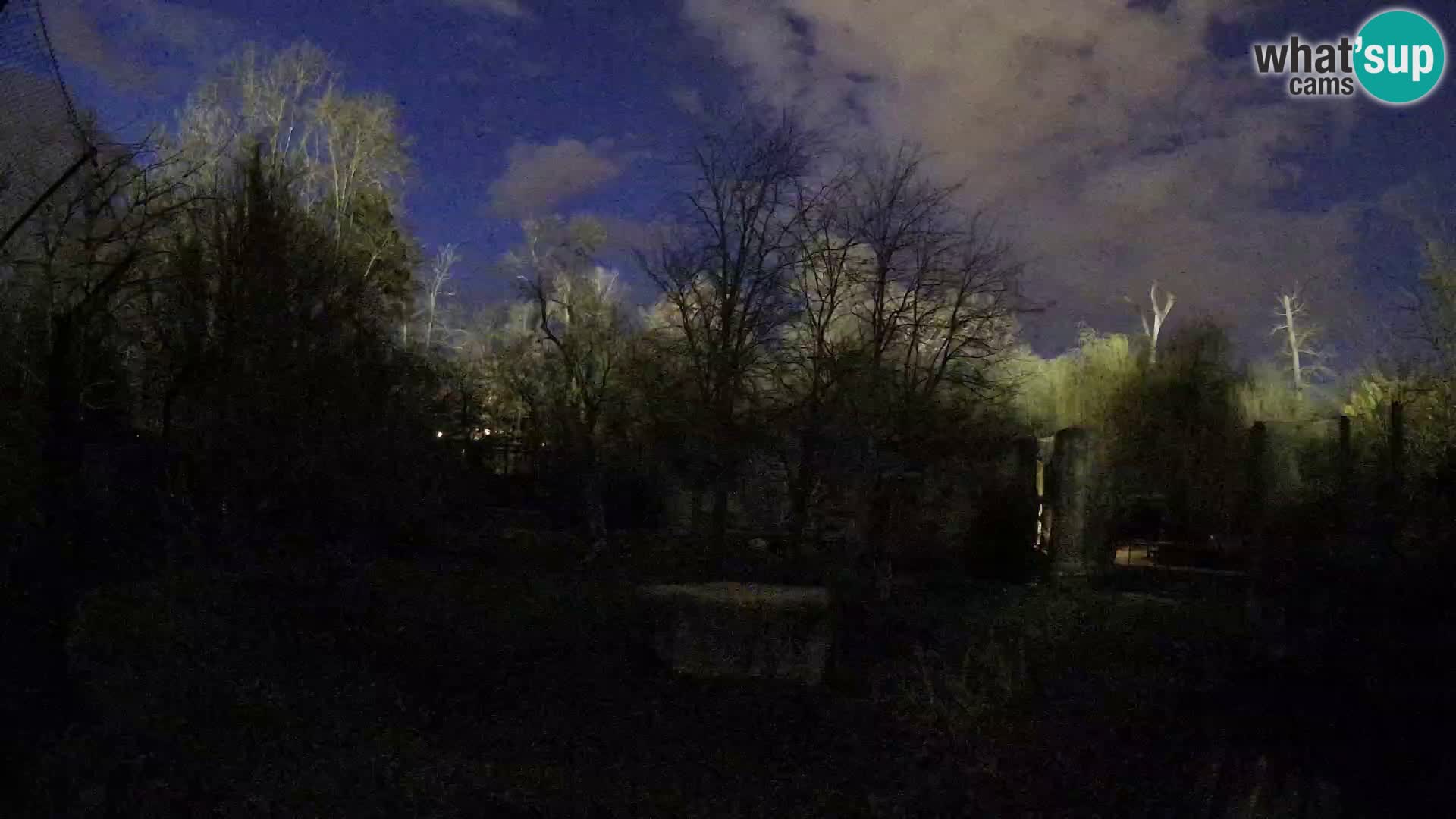 Zoo Zagreb – Leoni