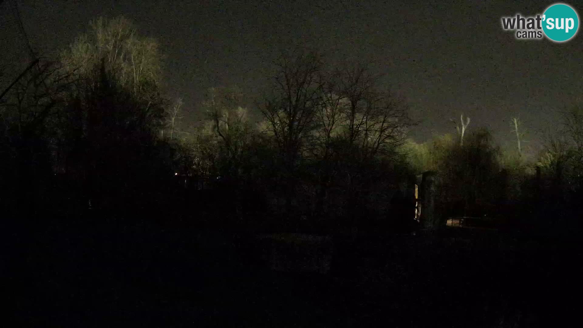 Zoo Zagreb – Leoni