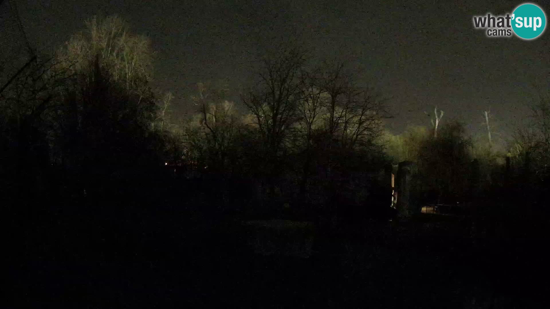 Spletna kamera Zoo Zagreb – Levi